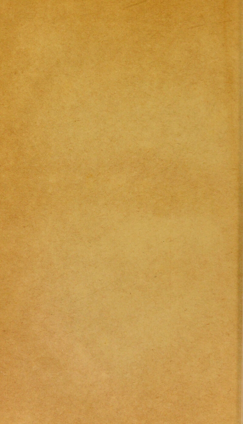 -•/:•■• V • >■ •% '• /• ' ' / V' .'-'- t> >'* -• v,^ :^z>- n. ;< '.• 'r - _ C4 .*ff y--' ‘■O ^ • A y V ;v,. î î V