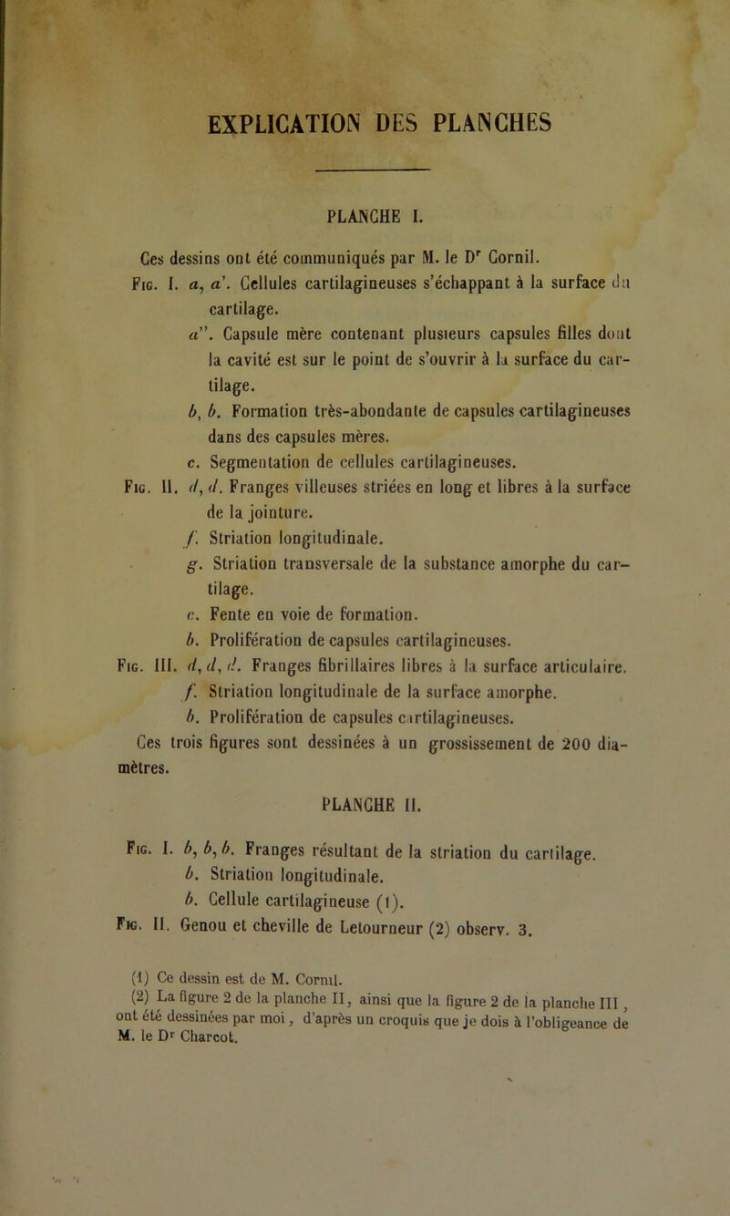 EXPLICATION DES PLANCHES PLANCHE I. Ces dessins ont été communiqués par M. le D'' Cornil. Fig. I. a, a. Cellules cartilagineuses s’échappant à la surface tlu cartilage. rt”. Capsule mère contenant plusieurs capsules filles dont la cavité est sur le point de s’ouvrir à la surface du car- tilage. b, b. Formation très-abondante de capsules cartilagineuses dans des capsules mères. c. Segmentation de cellules cartilagineuses. Fie. II. (l, d. Franges villeuses striées en long et libres à la surface de la jointure. f. Striation longitudinale. g. Striation transversale de la substance amorphe du car- tilage. c. Fente en voie de formation. b. Prolifération décapsulés cartilagineuses. Fig. III. d,d,d. Franges fibrillaires libres à la surface articulaire. f. Striation longitudinale de la surface amorphe. b. Prolifération de capsules cartilagineuses. Ces trois figures sont dessinées à un grossissement de 200 dia- mètres. PLANCHE 11. Fig. I. A, b^b. Franges résultant de la striation du cartilage. b. Striation longitudinale. b. Cellule cartilagineuse (t). Fw. II. Genou et cheville de Letourneur (2) observ. 3. (1) Ce dessin est de M. Corml. (2) La figure 2 de la planche II, ainsi que la figure 2 de la planche III, ont été dessinées par moi, d’après un croquis que je dois à l’obligeance dé M. le Df Charcot.