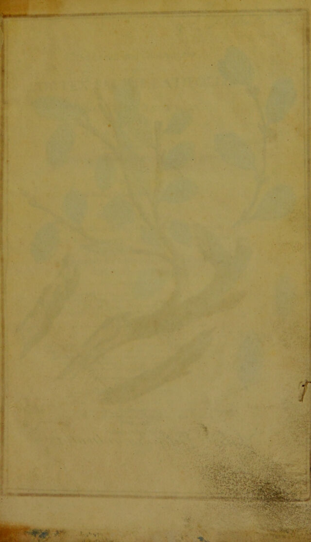 digitised image 3