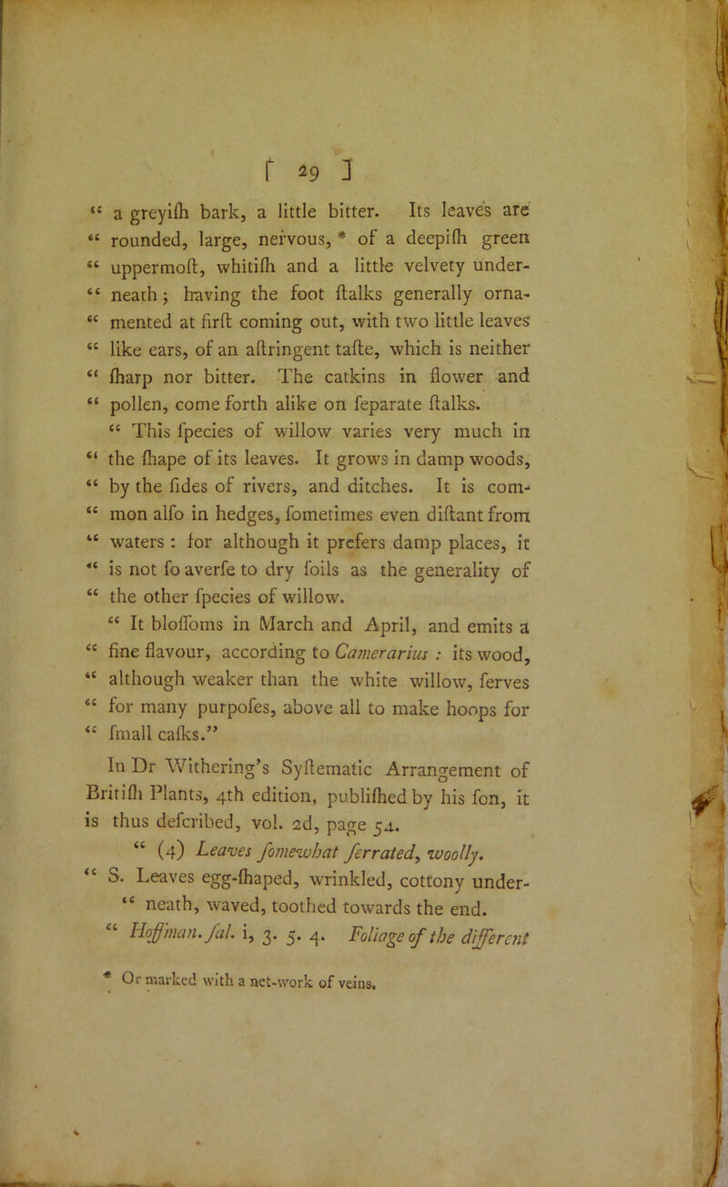 i{ a greyilh bark, a little bitter. Its leaves are “ rounded, large, nervous, * of a deepilli green “ uppermoft, whitifli and a little velvety under- <c neath; having the foot (talks generally orna- <c rnented at firft coming out, with two little leaves “ like ears, of an aftringent tafte, which is neither “ (harp nor bitter. The catkins in (lower and “ pollen, come forth alike on feparate (talks. “ This fpecies of willow varies very much in “ the (hape of its leaves. It growls in damp woods, “ by the Tides of rivers, and ditches. It is com- “ mon alfo in hedges, fometimes even diftant from t£ waters : for although it prefers damp places, it “ is not fo averfe to dry foils as the generality of “ the other fpecies of willow. “ It blolToms in March and April, and emits a “ fine flavour, according to Camerarius : its wood, “ although weaker than the white willow, ferves “ for many purpofes, above all to make hoops for fmall calks.” In Dr Withering’s Syflematic Arrangement of Bririfli Plants, 4th edition, publilhedby his fon, it is thus defcribed, vol. 2d, page 54.. “ (4) Leaves fomewhat ferrated, woolly. “ S. Leaves egg-(haped, wrinkled, cottony under- “ neath, waved, toothed towards the end. Hoffman, fal. i, 3. 3. 4. Foliage of the different * Or marked with a net-work of veins.