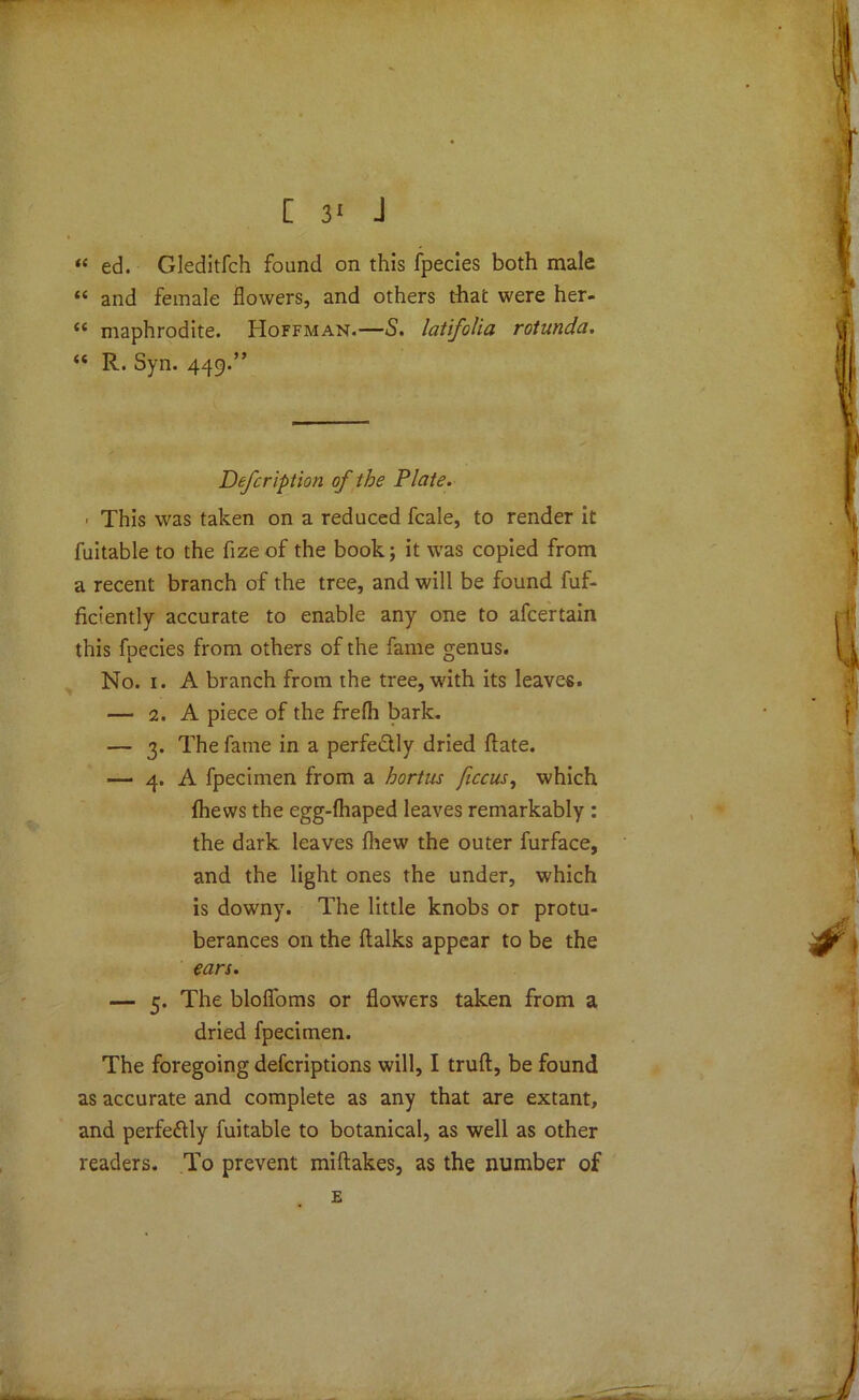 “ ed. Gleditfch found on this fpecies both male “ and female flowers, and others that were her- “ maphrodite. Hoffman.—S. latifolia rotunda. “ R. Syn. 449.” Defeription of the Plate. > This was taken on a reduced fcale, to render it fuitable to the fize of the book; it was copied from a recent branch of the tree, and will be found fuf- ficiently accurate to enable any one to afeertain this fpecies from others of the fame genus. No. 1. A branch from the tree, with its leaves. — 2. A piece of the frefli bark. — 3. The fame in a perfectly dried flate. — 4. A fpecimen from a hortus ficcus, which {hews the egg-lhaped leaves remarkably : the dark leaves (hew the outer furface, and the light ones the under, which is downy. The little knobs or protu- berances on the (talks appear to be the ears. — 5. The bloflbms or flowers taken from a dried fpecimen. The foregoing deferiptions will, I truft, be found as accurate and complete as any that are extant, and perfectly fuitable to botanical, as well as other readers. To prevent miftakes, as the number of