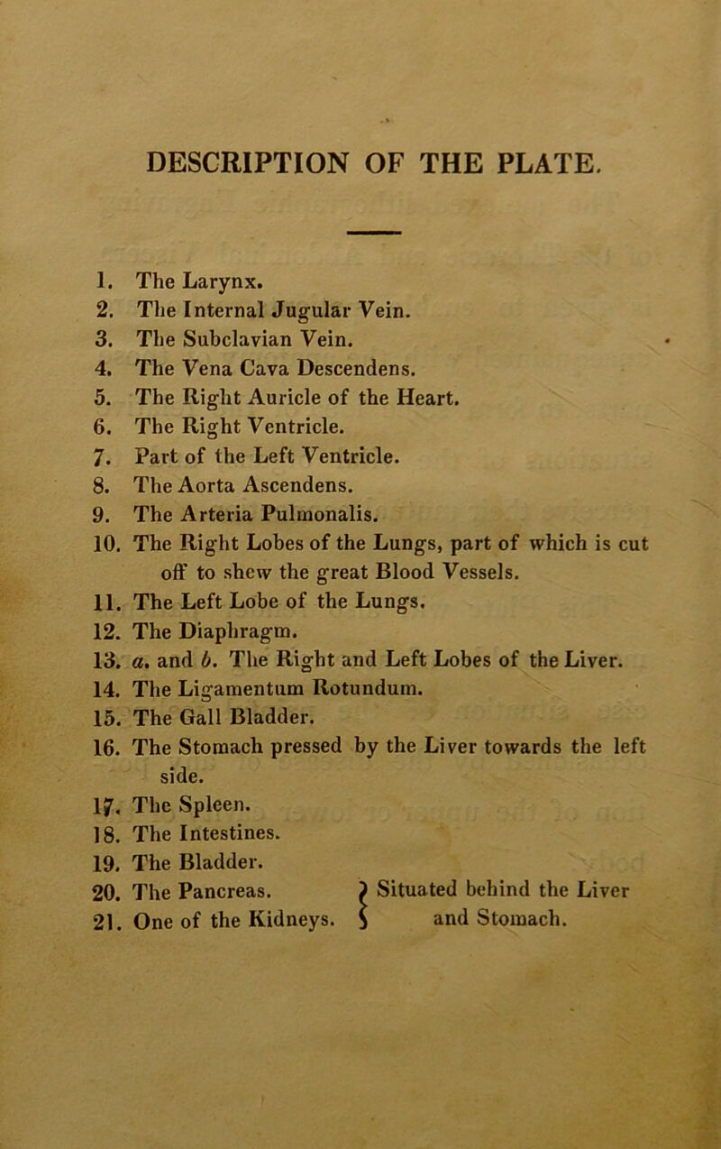 DESCRIPTION OF THE PLATE. 1. The Larynx. 2. The Internal Jugular Vein. 3. The Subclavian Vein. 4. The Vena Cava Descendens. 5. The Right Auricle of the Heart. 6. The Right Ventricle. 7. Part of the Left Ventricle. 8. The Aorta Ascendens. 9. The Arteria Pulmonalis. 10. The Right Lobes of the Lungs, part of which is cut off to shew the great Blood Vessels. 11. The Left Lobe of the Lungs. 12. The Diaphragm. 13. a. and b. The Right and Left Lobes of the Liver. 14. The Ligamentum Rotundum. 15. The Gall Bladder. 16. The Stomach pressed by the Liver towards the left side. 17. The Spleen. 18. The Intestines. 19. The Bladder. 20. The Pancreas. ) Situated behind the Liver 21. One of the Kidneys. $ and Stomach.