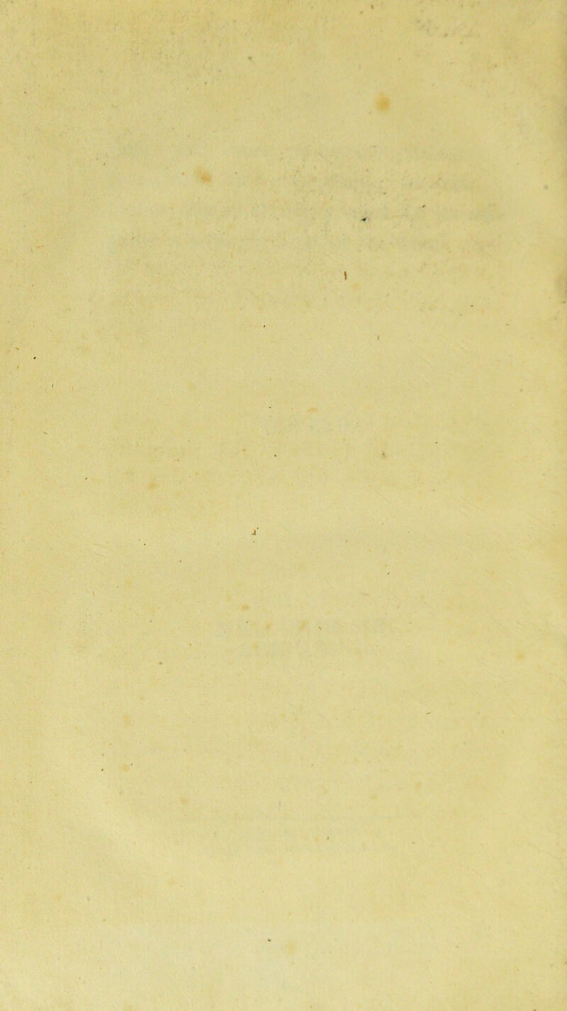 t' 4 « .V'/r - I 1 1 * . 'i.'- J 1 % ?‘x ^. » ♦ t. • • J. • V ■ H