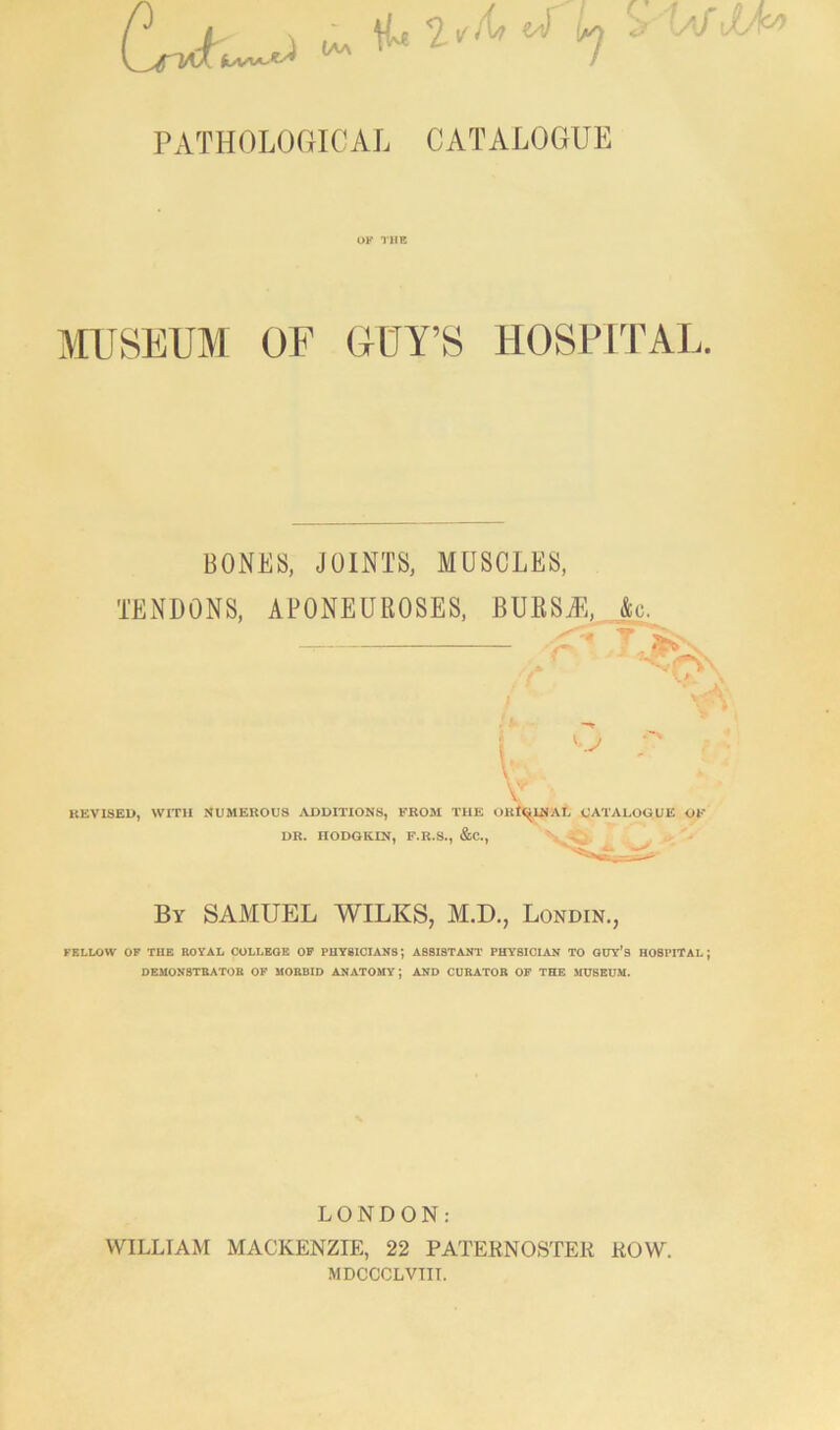 ^ d (yj > PATHOLOGICAL CATALOGUE OK THE MUSEUM OF GUY’S HOSPITAL. BONES, JOINTS, MUSCLES, TENDONS, APONEUROSES, BURSA!, &o. T REVISED, V WITH NUMEROUS ADDITIONS, FROM THE ORDINAL CATALOGUE OF DR. HODGKIN, F.R.S., &C., By SAMUEL WILKS, M.D., Londin., FELLOW OF THE ROYAL COLLEGE OF PHYSICIANS; ASSISTANT PHYSICIAN TO GUY’S HOSPITAL; DEMONSTRATOR OF MORBID ANATOMY; AND CURATOR OF THE MUSEUM. LONDON: WILLIAM MACKENZIE, 22 PATERNOSTER ROW. MDCCCLVTIT.