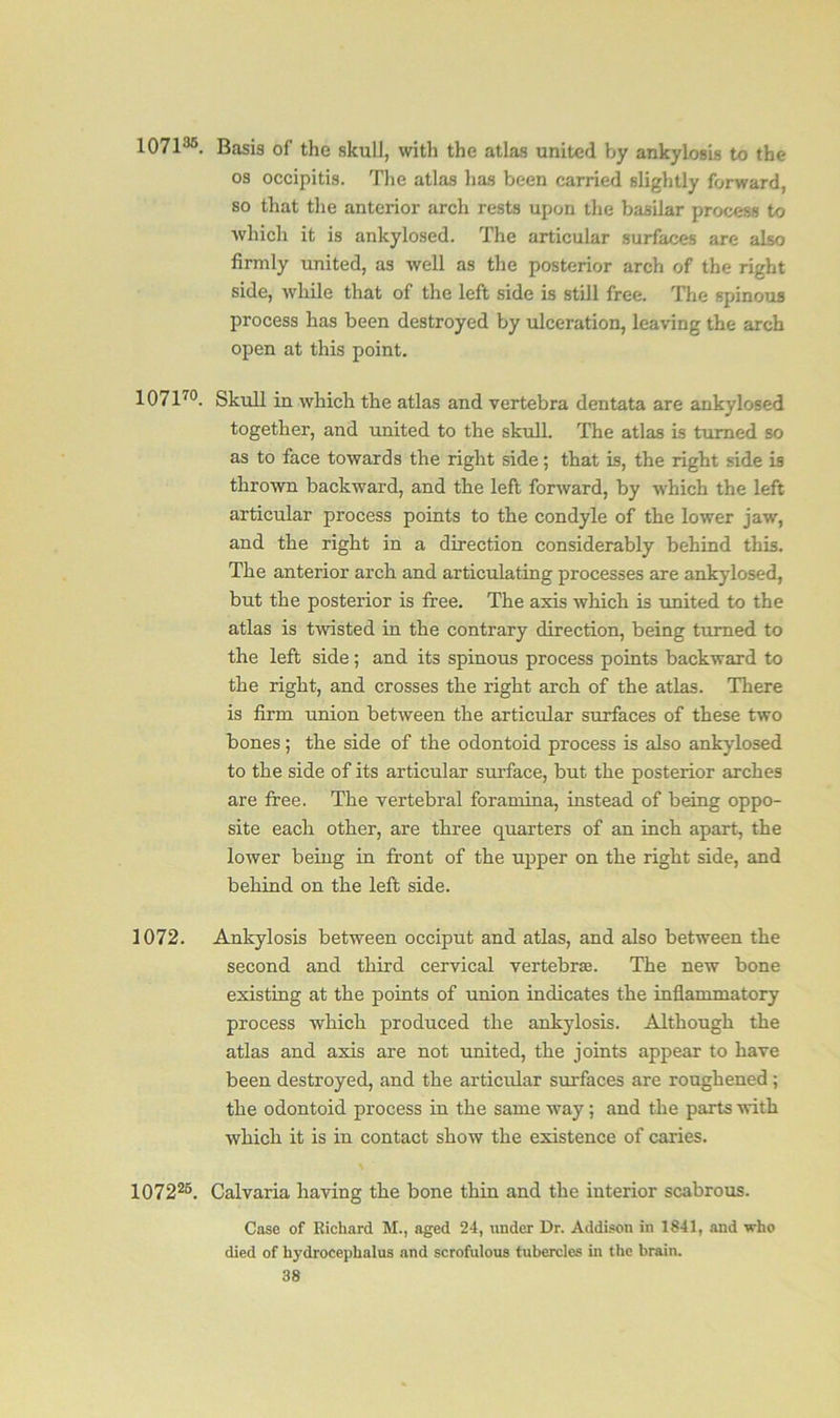 107135. Basis of the skull, with the atlas united by ankylosis to the os occipitis. The atlas has been carried slightly forward, so that the anterior arch rests upon the basilar process to which it is ankylosed. The articular surfaces are also firmly united, as well as the posterior arch of the right side, while that of the left side is still free. The spinous process has been destroyed by ulceration, leaving the arch open at this point. 107170. Skull in which the atlas and vertebra dentata are ankylosed together, and united to the skull. The atlas is turned so as to face towards the right side; that is, the right side is thrown backward, and the left forward, by which the left articular process points to the condyle of the lower jaw, and the right in a direction considerably behind this. The anterior arch and articulating processes are ankylosed, but the posterior is free. The axis which is united to the atlas is twisted in the contrary direction, being turned to the left side ; and its spinous process points backward to the right, and crosses the right arch of the atlas. There is firm union between the articular surfaces of these two bones; the side of the odontoid process is also ankylosed to the side of its articular surface, but the posterior arches are free. The vertebral foramina, instead of being oppo- site each other, are three quarters of an inch apart, the lower being in front of the upper on the right side, and behind on the left side. Ankylosis between occiput and atlas, and also between the second and third cervical vertebra. The new bone existing at the points of union indicates the inflammatory process which produced the ankylosis. Although the atlas and axis are not united, the joints appear to have been destroyed, and the articular surfaces are roughened; the odontoid process in the same way; and the parts with which it is in contact show the existence of caries. \ Calvaria having the bone thin and the interior scabrous. Case of Richard M., aged 24, under Dr. Addison in 1841, and who died of hydrocephalus and scrofulous tubercles in the brain. 38 1072. 107226.