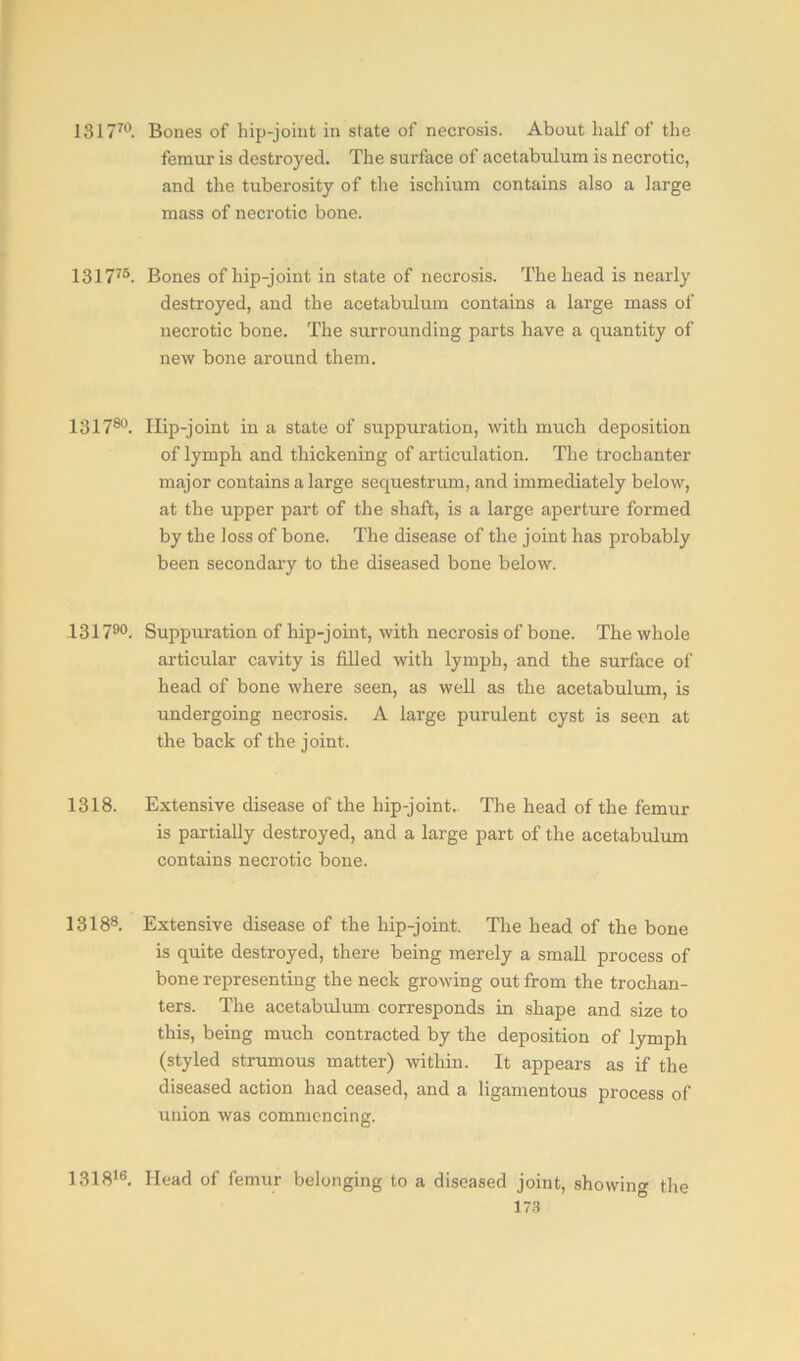 131770. Bones of hip-joint in state of necrosis. About half of the femur is destroyed. The surface of acetabulum is necrotic, and the tuberosity of the ischium contains also a large mass of necrotic bone. 131775. Bones of hip-joint in state of necrosis. The head is nearly destroyed, and the acetabulum contains a large mass of necrotic bone. The surrounding parts have a quantity of new bone around them. 131780. Hip-joint in a state of suppuration, with much deposition of lymph and thickening of articulation. The trochanter major contains a large sequestrum, and immediately below, at the upper part of the shaft, is a large aperture formed by the loss of bone. The disease of the joint has probably been secondary to the diseased bone below. 13 1 790. Suppuration of hip-joint, with necrosis of bone. The whole articular cavity is filled with lymph, and the surface of head of bone where seen, as well as the acetabulum, is undergoing necrosis. A large purulent cyst is seen at the back of the joint. 1318. Extensive disease of the hip-joint. The head of the femur is partially destroyed, and a large part of the acetabulum contains necrotic bone. 13188. Extensive disease of the hip-joint. The head of the bone is quite destroyed, there being merely a small process of bone representing the neck growing out from the trochan- ters. The acetabulum corresponds in shape and size to this, being much contracted by the deposition of lymph (styled strumous matter) within. It appears as if the diseased action had ceased, and a ligamentous process of union was commencing. 131816. Head of femur belonging to a diseased joint, showing the