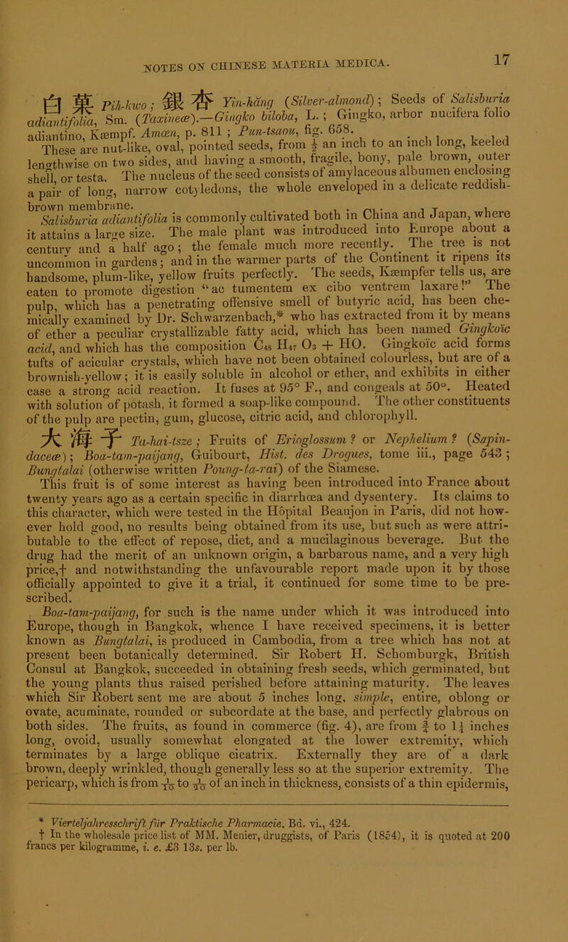 l||- Pih-kwo; Yin-hang (Silver-almond); Seeds of Salisburia adStijbUa, Sm. (Taxineec). Giugko biloba, L.; Gingko, arbor nucifera folio adiantino, Krempf. Amcen, p. 811 ; Pun-tsaou, fag. 6o8. These are nut like, oval, pointed seeds, from * an inch to an inch long, keeled lengthwise on two sides, and having a smooth, fragile, bony, pale brown outer shefl or testa. The nucleus of the seed consists of amylaceous albumen enclosing a pair of long, narrow cotyledons, the whole enveloped in a delicate reddish- ^ Salisburia adiantifolia is commonly cultivated both in China and Japan, where it attains a large size. The male plant was introduced into Europe about a centurv and a half ago; the female much more recently. _ The tree is not uncommon in gardens; and in the warmer parts of the Continent it ripens its handsome, plum-like, yellow fruits perfectly. The seeds, Ksempfer tells us, are eaten to promote digestion “ac tumentem ex cibo ventrem laxare! I he pulp which has a penetrating offensive smell of butyric acid, has been che- mically examined by Dr. Schwarzenbach * who has extracted from it by means of ether a peculiar crystallizable fatty acid, which has been named Gingkoic acid, and which has the composition C<s H47 03 + HO. Gingkoic acid forms tufts of acicular crystals, which have not been obtained colourless, but are of a brownish-yellow; it”is easily soluble in alcohol or ether, and exhibits in either case a strong acid reaction. It fuses at 95° F., and congeals at 50°. Heated with solutionof potash, it formed a soap-like compound. The other constituents of the pulp are pectin, gum, glucose, citric acid, and chlorophyll. pmp Ta-hai-tsze ; Fruits of Erioglossum ? or Nephelium ? (Sapin- dacece); Boa-tam-paijang, Guibourt, Hist, dcs Drogues, tome iii., page 543; Bungtalai (otherwise written Poung-ta-rai) of the Siamese. This fruit is of some interest as having been introduced into France about twenty years ago as a certain specific in diarrhoea and dysentery. Its claims to this character, which were tested in the Ilopital Beaujon in Paris, did not how- ever hold good, no results being obtained from its use, but such as were attri- butable to the effect of repose, diet, and a mucilaginous beverage. But the drug had the merit of an unknown origin, a barbarous name, and a very high price,f and notwithstanding the unfavourable report made upon it by those officially appointed to give it a trial, it continued for some time to be pre- scribed. Boa-tam-paijang, for such is the name under which it was introduced into Europe, though in Bangkok, whence I have received specimens, it is better known as Bungtalai, is produced in Cambodia, from a tree which has not at present been botanically determined. Sir Robert H. Schomburgk, British Consul at Bangkok, succeeded in obtaining fresh seeds, which germinated, but the young plants thus raised perished before attaining maturity. The leaves which Sir Robert sent me are about 5 inches long, simple, entire, oblong or ovate, acuminate, rounded or subcordate at the base, and perfectly glabrous on both sides. The fruits, as found in commerce (fig. 4), are from f to 1 \ inches long, ovoid, usually somewhat elongated at the lower extremity, which terminates by a large oblique cicatrix. Externally they are of a dark brown, deeply wrinkled, though generally less so at the superior extremity. The pericarp, which is from T\y to of an inch in thickness, consists of a thin epidermis, * Vierteljahresschrift fur Praklische Pharmacie. Bd. vi., 424. f In tho wholesale pricelist of MM. Menier, druggists, of Paris (1854), it is quoted at 200 francs per kilogramme, i. e. £3 13s. per lb.