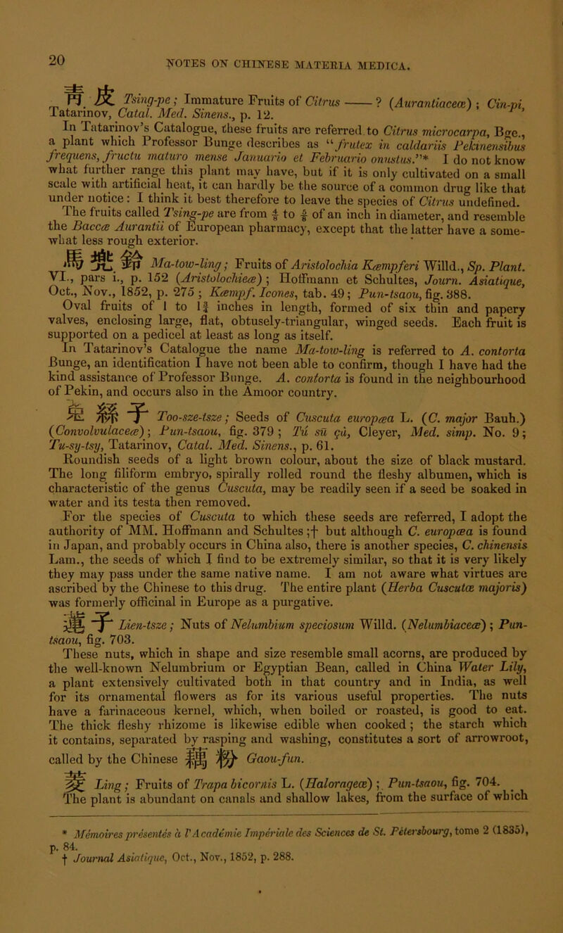 F? Tsing-pe; Immature Fruits of Citrus ? (Aurantiacece) ; Cin-pi l atannov, Catal. Med. Sinens., p. 12. ’ In Tatarinov s Catalogue, these fruits are referred to Citrus microcarpa, Bge., a plant which Professor Bunge describes as “ frutex in ccddariis Pekinensibus Jrequens, fructu maturo mense Januario et Februario onnstusP* I do not know what further range this plant may have, but if it is only cultivated on a small scale with artificial heat, it can hardly be the source of a common drug like that under notice: I think it best therefore to leave the species of Citrus undefined. The fruits called Tsing-pe are from f to f of an inch in diameter, and resemble the Baccee Aurantii of European pharmacy, except that the latter have a some- what less rough exterior. ^TJ Ma-tow-ling; Fruits of Aristolocliia Krempferi Willd., Sp. Plant. VI., pars i., p. 152 (Aristolochiece) ; Hoffmann et Schultes, Journ. Asiatique, Oct., Nov., 1852, p. 275 ; Kcempf. leones, tab. 49; Pun-tsaou, fig. 888. Oval fruits of I to If inches in length, formed of six thin and papery valves, enclosing large, flat, obtusely-triangular, winged seeds. Each fruit is supported on a pedicel at least as long as itself. In Tatarinov’s Catalogue the name Ma-tow-ling is referred to A. contorta Bunge, an identification I have not been able to confirm, though I have had the kind assistance of Professor Bunge. A. contorta is found in the neighbourhood of Pekin, and occurs also in the Amoor country. ft m? Too-sze-tsze; Seeds of Cuscuta europaa L. (C. major Bauh.) (Convolvulacea); Pun-tsaou, fig. 379; Tu su ca, Cleyer, Med. simp. No. 9; Tu-sy-tsy, Tatarinov, Catal. Med. Sinens., p. 61. Roundish seeds of a light brown colour, about the size of black mustard. The long filiform embryo, spirally rolled round the fleshy albumen, which is characteristic of the genus Cuscuta, may be readily seen if a seed be soaked in water and its testa then removed. For the species of Cuscuta to which these seeds are referred, I adopt the authority of MM. Hoffmann and Schultes ;f but although C. europcea is found in Japan, and probably occurs in China also, there is another species, C. chinensis Lam., the seeds of which I find to be extremely similar, so that it is very likely they may pass under the same native name. I am not aware what virtues are ascribed by the Chinese to this drug. The entire plant (Herba Cuscuta. majoris) was formerly officinal in Europe as a purgative. -41 s£ -r Lien-tsze; Nuts of Nelumbium speciosum Willd. (Nelumbiacece) ; Pun- tsaou, fig. 703. These nuts, which in shape and size resemble small acorns, are produced by the well-known Nelumbrium or Egyptian Bean, called in China Water Lily, a plant extensively cultivated both in that country and in India, as well for its ornamental flowers as for its various useful properties. The nuts have a farinaceous kernel, which, when boiled or roasted, is good to eat. The thick fleshy rhizome is likewise edible when cooked; the starch which it contains, separated by rasping and washing, constitutes a sort of arrowroot, called by the Chinese Gaou-fun. Ling; Fruits of Trapa bicornis L. (Ilaloragece) Pun-tsaou, fig. 704. The plant is abundant on canals and shallow lakes, from the surface of which * Memoires presenter a l'Academic Imperials dcs Sciences de Si. Pctersbourg, tome 2 (1835), p. 84. f Journal Asiatique, Oct., Nov., 1852, p. 288.