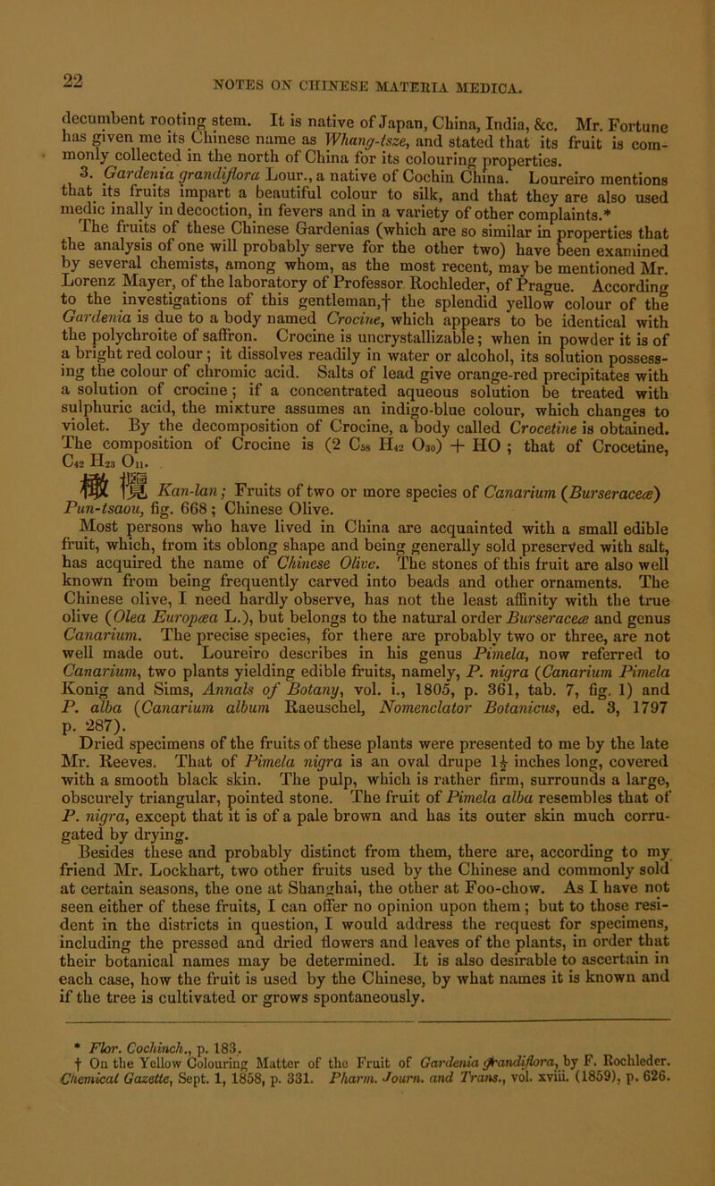 decumbent rooting stem. It is native of Japan, China, India, &c. Mr. Fortune has given me its Chinese name as Whang-isze, and stated that its fruit is com- monly collected in the north of Chinn for its colouring properties. 3. Gardenia grandijlora Lour., a native of Cochin China. Loureiro mentions that its fruits impart a beautiful colour to silk, and that they are also used medic inally in decoction, in fevers and in a variety of other complaints.* 1. he fruits of these Chinese Gardenias (which are so similar in properties that the analysis of one will probably serve for the other two) have been examined by several chemists, among whom, as the most recent, may be mentioned Mr. Lorenz Mayer, of the laboratory of Professor Rochleder, of Prague. According to the investigations of this gentleman,f the splendid yellow colour of the Gardenia is due to a body named Crocine, which appears to be identical with the polychroite of saffron. Crocine is uncrystallizable; when in powder it is of a bright red colour; it dissolves readily in water or alcohol, its solution possess- ing the colour of chromic acid. Salts of lead give orange-red precipitates with a solution of crocine; if a concentrated aqueous solution be treated with sulphuric acid, the mixture assumes an indigo-blue colour, which changes to violet. By the decomposition of Crocine, a body called Crocetine is obtained. The composition of Crocine is (2 CS8 EL- O3o) + HO ; that of Crocetine, Cl2 H23 Oil. Haa I Kan-lan; Fruits of two or more species of Canarium (Burseracece) Pun-tsaou, fig. 668; Chinese Olive. Most persons who have lived in China are acquainted with a small edible fruit, which, from its oblong shape and being generally sold preserved with salt, has acquired the name of Chinese Olive. The stones of this fruit are also well known from being frequently carved into beads and other ornaments. The Chinese olive, I need hardly observe, has not the least affinity with the true olive (Olea Europcea L.), but belongs to the natural order Burseracece and genus Canarium. The precise species, for there are probably two or three, are not well made out. Loureiro describes in his genus Pimela, now referred to Canarium, two plants yielding edible fruits, namely, P. nigra (Canarium Pimela Konig and Sims, Annals of Botany, vol. i., 1805, p. 361, tab. 7, fig. 1) and P. alba (Canarium album Raeuschel, Nomenclator Botanicus, ed. 3, 1797 p. 287). Dried specimens of the fruits of these plants were presented to me by the late Mr. Reeves. That of Pimela nigra is an oval drupe 1£ inches long, covered with a smooth black skin. The pulp, which is rather firm, surrounds a largo, obscurely triangular, pointed stone. The fruit of Pimela alba resembles that of P. nigra, except that it is of a pale brown and has its outer skin much corru- gated by drying. Besides these and probably distinct from them, there are, according to my friend Mr. Lockhart, two other fruits used by the Chinese and commonly sold at certain seasons, the one at Shanghai, the other at Foo-chow. As I have not seen either of these fruits, I can offer no opinion upon them; but to those resi- dent in the districts in question, I would address the request for specimens, including the pressed and dried flowers and leaves of the plants, in order that their botanical names may be determined. It is also desirable to ascertain in each case, how the fruit is used by the Chinese, by what names it is known and if the tree is cultivated or grows spontaneously. * Flor. Cochinch., p. 183, t On the Yellow Colouring Matter of the Fruit of Gardenia gi'andifora, by F. Rochleder. Chemical Gazette, Sept. 1,1858, p. 331. Pharm. Journ. and Trans., vol. xviii. (1859), p. 626.