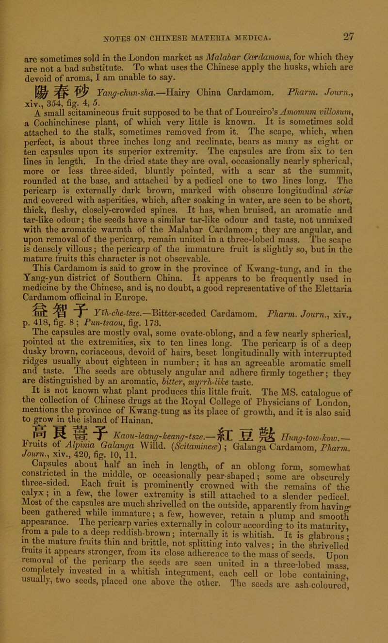 are sometimes sold in the London market as Malabar Cardamoms, for which they are not a had substitute. To what uses the Chinese apply the husks, which are devoid of aroma, I am unable to say. Yang-chun-sha.—Hairy China Cardamom. Pharm. Journ., xiv., 354, fig. 4, 5. A small scitamineous fruit supposed to be that of Loureiro’s Amomnm villosum, a Cochinchinese plant, of which very little is known. It is sometimes sold attached to the stalk, sometimes removed from it. The scape, which, when perfect, is about three inches long and reclinate, bears as many as eight or ten capsules upon its superior extremity. The capsules are from six to ten lines in length. In the dried state they are oval, occasionally nearly spherical, more or less three-sided, bluntly pointed, with a scar at the summit, rounded at the base, and attached by a pedicel one to two lines long. The pericarp is externally dark brown, marked with obscure longitudinal stria: and covered with asperities, which, after soaking in water, are seen to be short, thick, fleshy, closely-crowded spines. It has, when bruised, an aromatic and tar-like odour; the seeds have a similar tar-like odour and taste, not unmixed with the aromatic warmth of the Malabar Cardamom ; they are angular, and upon removal of the pericarp, remain united in a three-lobed mass. The scape is densely villous; the pericarp of the immature fruit is slightly so, but in the mature fruits this character is not observable. This Cardamom is said to grow in the province of Kwang-tung, and in the Yang-yun district of Southern China. It appears to be frequently used in medicine by the Chinese, and is, no doubt, a good representative of the Elettaria Cardamom officinal in Europe. Ylh-che-tsze.—Bitter-seeded Cardamom. Pharm. Journ., xiv., p. 418, fig. 8 ; Pun-tsaou, fig. 173. The capsules are mostly oval, some ovate-oblong, and a few nearly spherical, pointed at the extremities, six to ten lines long. The pericarp is of a deep dusky brown, coriaceous, devoid of hairs, beset longitudinally with interrupted ridges usually about eighteen in number; it has an agreeable aromatic smell and taste. The seeds are obtusely angular and adhere firmly together; they are distinguished by an aromatic, bitter, myrrh-like taste. It is not known what plant produces this little fruit. The MS. catalogue of the collection of Chinese drugs at the Royal College of Physicians of London, mentions the province of Kwang-tung as its place of growth, and it is also said to grow in the island of Hainan. Ilif Kaou-leang-keang-tsze.— ft 3. M Hung-tow-kow. — bruits of Alpima Galanga Willd. (Scitamineee) ; Galanga Cardamom, Pharm. Journ., xiv., 420, fig. 10, 11. Capsules about half an inch in length, of an oblong form, somewhat constricted in the middle,_ or occasionally pear-shaped; some are obscurely three-sided. Each fruit is prominently crowned with the remains of the calyx; in a few, the lower extremity is still attached to a slender pedicel. Most of the capsules are much shrivelled on the outside, apparently from having been gathered while immature; a few, however, retain a plump and smooth appearance. The pericarp varies externally in colour according to its maturity, from a pale to a deep reddish-brown; internally it is whitish. It is glabrous • in the mature fruits thin and brittle, not splitting into valves; in the shrivelled iruits it appears stronger, from its close adherence to the mass of seeds. Upon ™T!V,0f-theiPf1?arp th,C sf'ds arc seen united ^ a three-lobed mass, comp etdy invested in a whitish integument, each cell or lobe containing usually, two seeds, placed one above the other. The seeds are ash-coloured