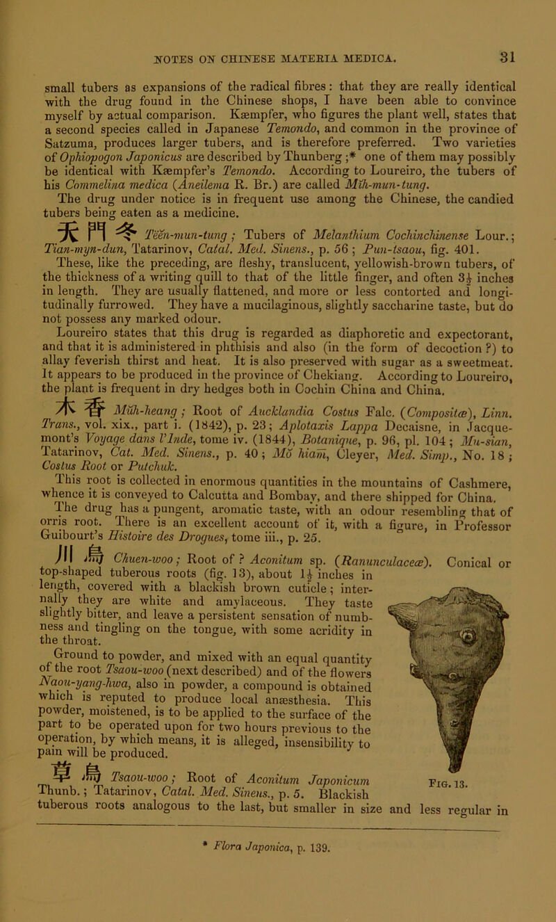 small tubers as expansions of the radical fibres: that they are really identical with the drug found in the Chinese shops, I have been able to convince myself by actual comparison. Ksempf'er, who figures the plant well, states that a second species called in Japanese Temondo, and common in the province of Satzuma, produces larger tubers, and is therefore preferred. Two varieties of Ophiopogon Japonicus are described by Thunberg •* one of them may possibly be identical with Kaempfer’s Temondo. According to Loureiro, the tubers of his Commelina medica (Aneilema R. Br.) are called Mih-mun-tung. The drug under notice is in frequent use among the Chinese, the candied tubers being eaten as a medicine. Teen-mun-tung; Tubers of Melanthium Cochinchinense Lour.; Tian-myn-dun, Tatarinov, Catal. Med. Sinens., p. 56 ; Pun-tsaou, fig. 401. These, like the preceding, are fleshy, translucent, yellowish-brown tubers, of the thickness of a writing quill to that of the little finger, and often 34 inches in length. They are usually flattened, and more or less contorted and longi- tudinally furrowed. They have a mucilaginous, slightly saccharine taste, but do not possess any marked odour. Loureiro states that this drug is regarded as diaphoretic and expectorant, and that it is administered in phthisis and also (in the form of decoction P) to allay feverish thirst and heat. It is also preserved with sugar as a sweetmeat. It appears to be produced in the province of Chekiang. According to Loureiro, the plant is frequent in dry hedges both in Cochin China and China. Muh-heang^; Root of AncJdandia Costus Falc. (Composites), Linn. Trans., vol. xix., part i. (1842), p. 23; Aplotaxis Lappa Decaisne, in Jacque- mont’s Voyage dans Vlnde, tome iv. (1844), Botanique, p. 96, pi. 104; Mu-sian, Tatarinov, Cat. Med. Sinens., p. 40; Mo hiaWi, Cleyer, Med. Simp., No. 18; Costus Root or Putchuk. This root is collected in enormous quantities in the mountains of Cashmere, whence it is conveyed to Calcutta and Bombay, and there shipped for China. The drug has a pungent, aromatic taste, with an odour resembling that of orris root. There is an excellent account of it, with a figure, in Professor Guibourt’s Histoire des Drogues, tome iii., p. 25. ill Chuen-woo; Root of ? Aconitum sp. (Ranunculacece'). top-shaped tuberous roots (fig. 13), about 1£ inches in length, covered with a blackish brown cuticle; inter- nally they are white and amylaceous. They taste slightly bitter, and leave a persistent sensation of numb- ness and tingling on the tongue, with some acridity in the thi’oat. Ground to powder, and mixed with an equal quantity of the root Tsaou-ivoo (next described) and of the flowers Naou-yang-liwa, also in powder, a compound is obtained which is reputed to produce local anaesthesia. This powder, moistened, is to be applied to the surface of the part to be operated upon for two hours previous to the operation, by which means, it is alleged, insensibility to pain will be produced. Conical or m m Tsaou-woo; Root of Aconitum Japonicum Thunb.; Tatarinov, Catal. Med. Sinens., p. 5. Blackish tuberous roots analogous to the last, but smaller in size and less Fig. 13. regular in * Flora Japonica, p. 139.