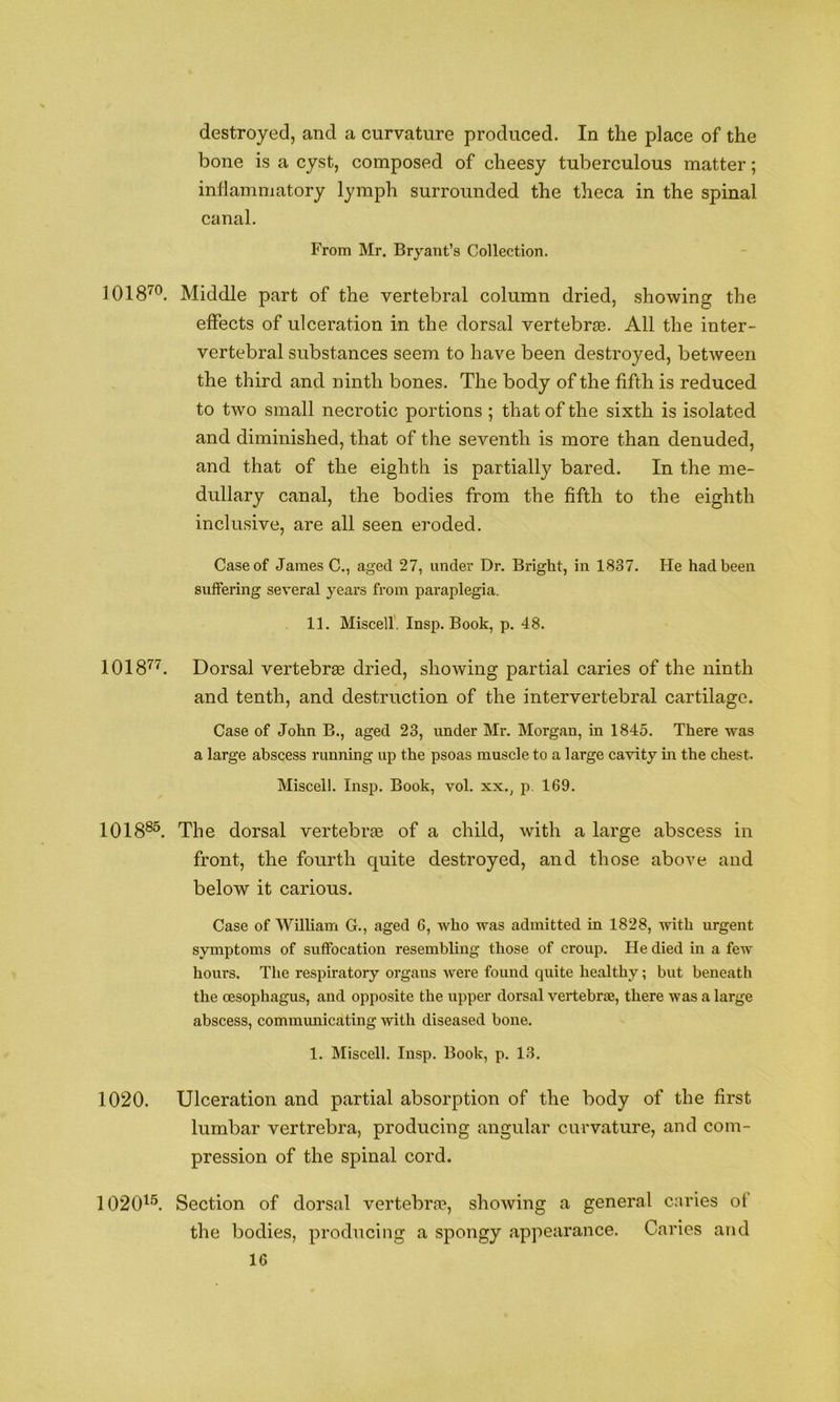 destroyed, and a curvature produced. In the place of the bone is a cyst, composed of cheesy tuberculous matter; inflammatory lymph surrounded the theca in the spinal canal. From Mr. Bryant’s Collection. 1018^^. Middle part of the vertebral column dried, showing the effects of ulceration in the dorsal vertebra©. All the inter- vertebral substances seem to have been destroyed, between the third and ninth bones. The body of the fifth is reduced to two small necrotic portions ; that of the sixth is isolated and diminished, that of the seventh is more than denuded, and that of the eighth is partially bared. In the me- dullary canal, the bodies from the fifth to the eighth inclusive, are all seen eroded. Case of James C., aged 27, under Dr. Bright, in 1837. He had been suffering several years from paraplegia. 11. Miscell'. Insp. Book, p. 48. 1018'^^. Dorsal vertebrse dried, showing partial caries of the ninth and tenth, and destruction of the intervertebral cartilage. Case of John B., aged 23, under Mr. Morgan, in 1845. There was a large abscess running up the psoas muscle to a large cavity in the chest. Miscell. Insp. Book, vol. xx., p. 169. 1018®^. The dorsal vertebrte of a child, with a large abscess in front, the fourth quite destroyed, and those above, and below it carious. Case of William G., aged 6, who was admitted in 1828, with urgent symptoms of suffocation resembling those of croup. He died in a few hours. The respiratory organs were found quite healthy; but beneath the oesophagus, and opposite the upper dorsal vertebrae, there was a large abscess, commimicating with diseased bone. 1. Miscell. Insp. Book, p. 13. 1020. Ulceration and partial absorption of the body of the first lumbar vertrebra, producing angular curvature, and com- pression of the spinal cord. 1020^^ Section of dorsal vertebrte, showing a general caries of the bodies, producing a spongy appearance. Caries and