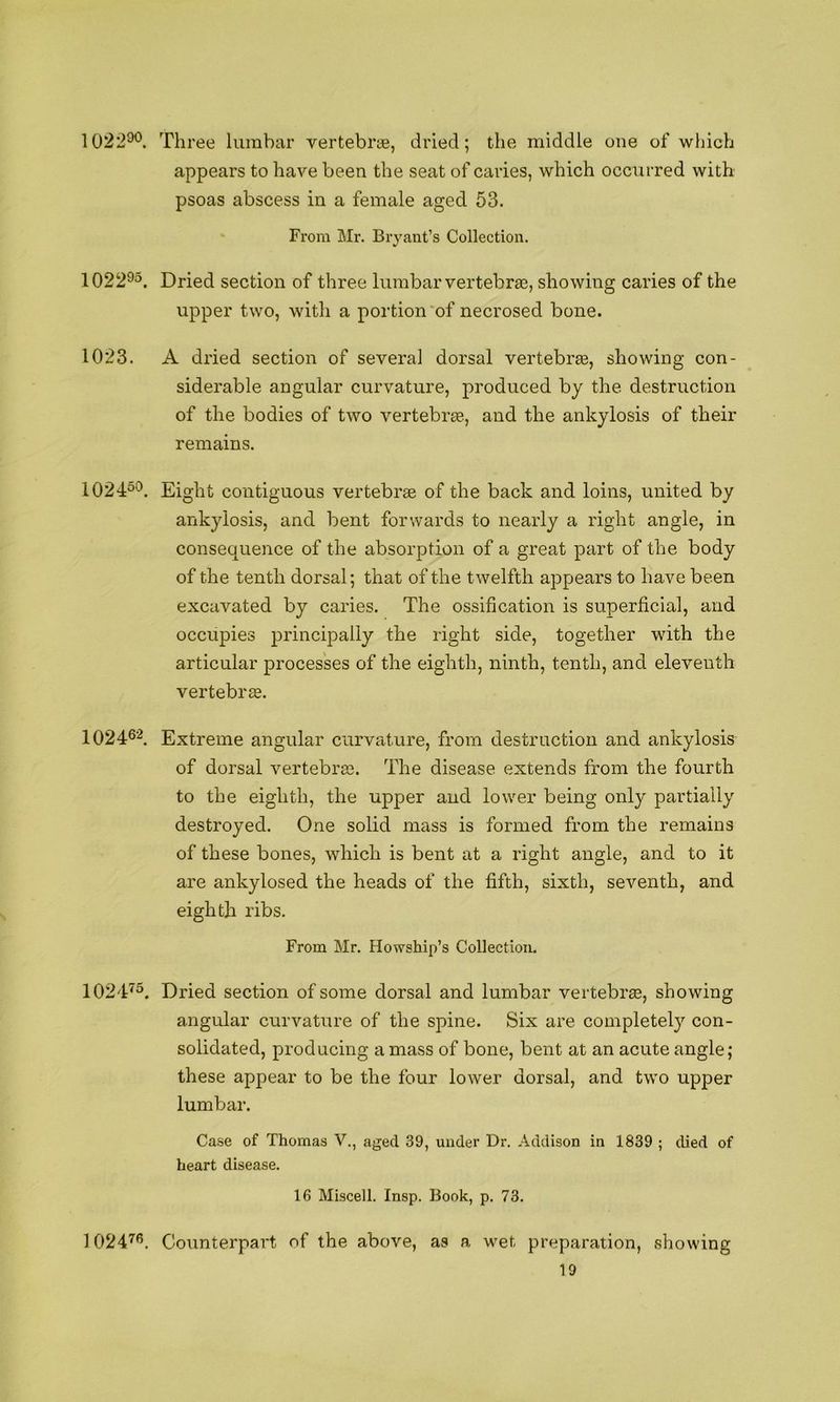 1022^>o. 102295. 1023. 102450. 102462 102475. 102476. Three lumbar vertebrae, dried; the middle one of which appears to have been the seat of caries, which occurred with psoas abscess in a female aged 53. From Mr. Bryant’s Collection. Dried section of three lumbar vertebrae, showing caries of the upper two, with a portion'of necrosed bone. A dried section of several dorsal vertebrae, showing con- siderable angular curvature, produced by the destruction of the bodies of two vertebrae, and the ankylosis of their remains. Eight contiguous vertebrae of the back and loins, united by ankylosis, and bent forwards to nearly a right angle, in consequence of the absorption of a great part of the body of the tenth dorsal; that of the twelfth appears to have been excavated by caries. The ossification is superficial, and occupies princqDally the right side, together with the articular processes of the eighth, ninth, tenth, and eleventh vertebra. Extreme angular curvature, from destruction and ankylosis of dorsal vertebra}. The disease extends from the fourth to the eighth, the upper and lower being only partially destroyed. One solid mass is formed from the remains of these bones, which is bent at a right angle, and to it are ankylosed the heads of the fifth, sixth, seventh, and eighth ribs. From Mr. Howship’s Collection, Dried section of some dorsal and lumbar vertebras, showing angular curvature of the spine. Six are completely con- solidated, producing amass of bone, bent at an acute angle; these appear to be the four lower dorsal, and two upper lumbar. Case of Thomas V., aged 39, under Dr. Addison in 1839 ; died of heart disease. 16 Miscell. Insp. Book, p. 73. Counterpart of the above, as a wet preparation, showing
