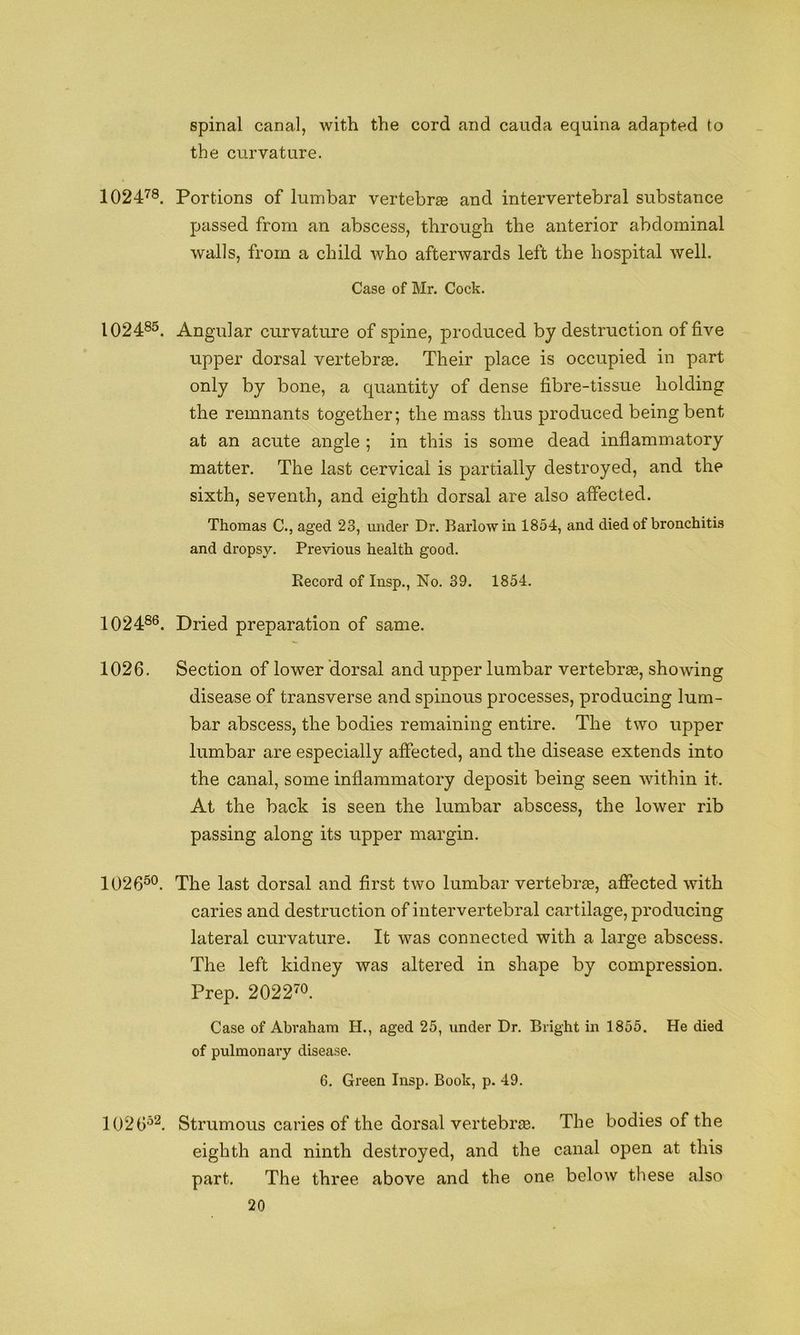 spinal canal, with the cord and cauda equina adapted to the curvature. 1024^®. Portions of lumbar vertebrae and intervertebral substance passed from an abscess, through the anterior abdominal walls, from a child who afterwards left the hospital well. Case of Mr. Cock. 1024®®. Angular curvature of spine, produced by destruction of five upper dorsal vertebrae. Their place is occupied in part only by bone, a quantity of dense fibre-tissue holding the remnants together; the mass thus produced being bent at an acute angle ; in this is some dead inflammatory matter. The last cervical is partially destroyed, and the sixth, seventh, and eighth dorsal are also affected. Thomas C., aged 23, under Dr. Barlow in 1854, and died of bronchitis and dropsy. Previous health good. Eecord of Insp., No. 39. 1854. 1024®®. Dried preparation of same. 1026. Section of lower dorsal and upper lumbar vertebras, showing disease of transverse and spinous processes, producing lum- bar abscess, the bodies remaining entire. The two upper lumbar are especially affected, and the disease extends into the canal, some inflammatory deposit being seen within it. At the back is seen the lumbar abscess, the lower rib passing along its upper margin. 1026®®. The last dorsal and first two lumbar vertebrae, affected with caries and destruction of intervertebral cartilage, producing lateral curvature. It was connected with a large abscess. The left kidney was altered in shape by compression. Prep. 2022^®. Case of Abraham H., aged 25, under Dr. Bright in 1855. He died of pulmonary disease. 6. Green Insp. Book, p. 49. 1026®^. Strumous caries of the dorsal vertebrae. The bodies of the eighth and ninth destroyed, and the canal open at this part. The three above and the one below these also