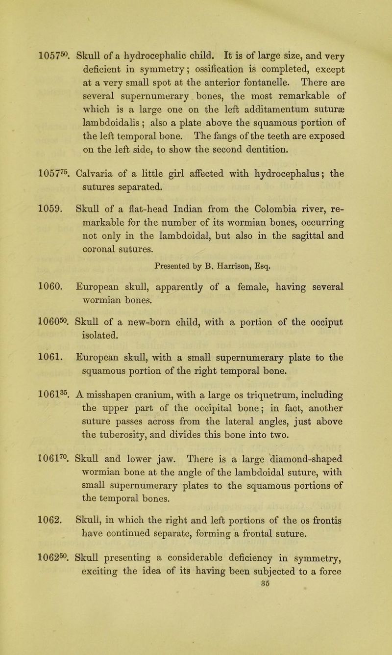 105750. 1057^5. 1059. 1060. 106050. 1061. 106135. 1061^0, 1062. 106250. Skull of a hydrocephalic child. It is of large size, and very deficient in symmetry; ossification is completed, except at a very small spot at the anterior fontanelle. There are several supernumerary bones, the most remarkable of which is a large one on the left additamentum suturae lambdoidalis ; also a plate above the squamous portion of the left temporal bone. The fangs of the teeth are exposed on the left side, to show the second dentition. Calvaria of a little girl afiected with hydrocephalus; the sutures separated. Skull of a flat-head Indian from the Colombia river, re- markable for the number of its wormian bones, occurring not only in the lambdoidal, but also in the sagittal and coronal sutures. Presented by B. Harrison, Esq. European skull, apparently of a female, having several wormian bones. Skull of a new-born child, with a portion of the occiput isolated. European skull, with a small supernumerary plate to the squamous portion of the right temporal bone. A misshapen cranium, with a large os triquetrum, including the upper part of the occipital bone; in fact, another suture passes across from the lateral angles, just above the tuberosity, and divides this bone into two. Skull and lower jaw. There is a large 'diamond-shaped wormian bone at the angle of the lambdoidal suture, with small supernumerary plates to the squamous portions of the temporal bones. Skull, in which the right and left portions of the os fronds have continued separate, forming a frontal suture. Skull presenting a considerable deficiency in symmetry, exciting the idea of its having been subjected to a force