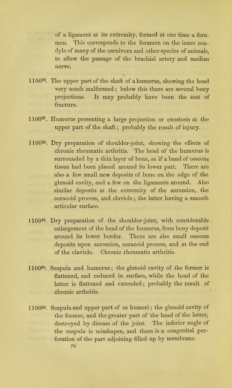 of a ligament at its extremity, formed at one time a fora- men. This corresponds to the foramen on the inner con- dyle of many of the carnivora and other species of animals, to allow the passage of the brachial artery and median nerve. 1100^^. The upper part of the shaft of a humerus, showing the head very much malformed ; below this there are several bony projections. It may probably have been the seat of fracture. 1100^^. Humerus presenting a large projection or exostosis at the upper part of the shaft; probably the result of injury. llOO^o. Dry preparation of shoulder-joint, showing the effects of chronic rheumatic arthritis. The head of the humerus is surrounded by a thin layer of bone, as if a band of osseous tissue had been placed around its lower part. There are also a few small new deposits of bone on the edge of the glenoid cavity, and a few on the ligaments around. Also similar deposits at the extremity of the acromion, the coracoid process, and clavicle ; the latter having a smooth articular surface. 1100^^. Dry preparation of the shoulder-joint, with considerable enlargement of the head of the humerus, from bony deposit around its lower border. There are also small osseous deposits upon acromion, coracoid process, and at the end of the clavicle. Chronic rheumatic arthritis. 1100®*^. Scapula and humerus; the glenoid cavity of the former is flattened, and reduced in surface, while the head of the latter is flattened and extended; probably the result of chronic arthritis. 110080. Scapula and upper part of os humeri; the glenoid cavity of the former, and the greater part of the head of the latter, destroyed by disease of the joint. The inferior angle of the scapula is misshapen, and there is a congenital per- foration of the part adjoining filled up by membrane.