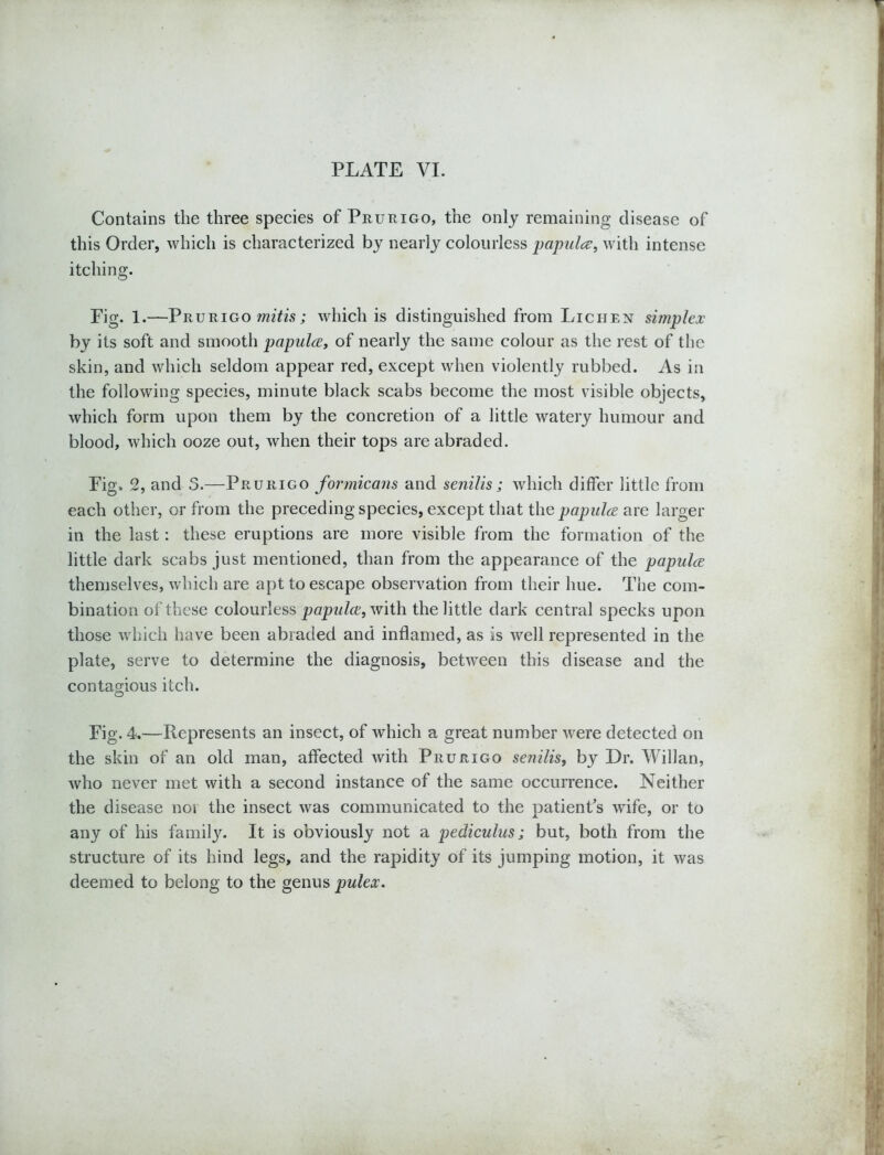 Contains the three species of Prurigo, the only remaining disease of this Order, which is characterized by nearly colourless papula:, with intense itching. Fig. 1.—Prurigo mitis; which is distinguished from Lichen simplex by its soft and smooth papula, of nearly the same colour as the rest of the skin, and which seldom appear red, except when violently rubbed. As in the following species, minute black scabs become the most visible objects, which form upon them by the concretion of a little watery humour and blood, which ooze out, when their tops are abraded. Fig. 2, and 3.—Prurigo formicans and senilis; which differ little from each other, or from the preceding species, except that the papula me larger in the last: these eruptions are more visible from the formation of the little dark scabs just mentioned, than from the appearance of the papula themselves, which are apt to escape observation from their hue. The com- bination of these colourless papula, with the little dark central specks upon those which have been abraded and inflamed, as is well represented in the plate, serve to determine the diagnosis, between this disease and the contagious itch. Fig. 4.—Represents an insect, of which a great number were detected on the skin of an old man, affected with Prurigo senilis, by Dr. Willan, who never met with a second instance of the same occurrence. Neither the disease noi the insect was communicated to the patient’s wife, or to any of his familjr. It is obviously not a pediculus; but, both from the structure of its hind legs, and the rapidity of its jumping motion, it was deemed to belong to the genus pulex.