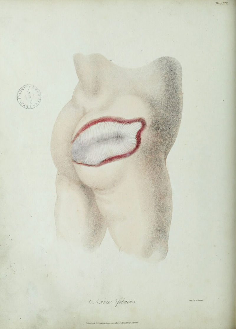 r 7 a’/v/j ye/samw. ft'htuhrd Oetn.wjtyLmujwan 7/urjt Jlee.t Ormo 6Brown.