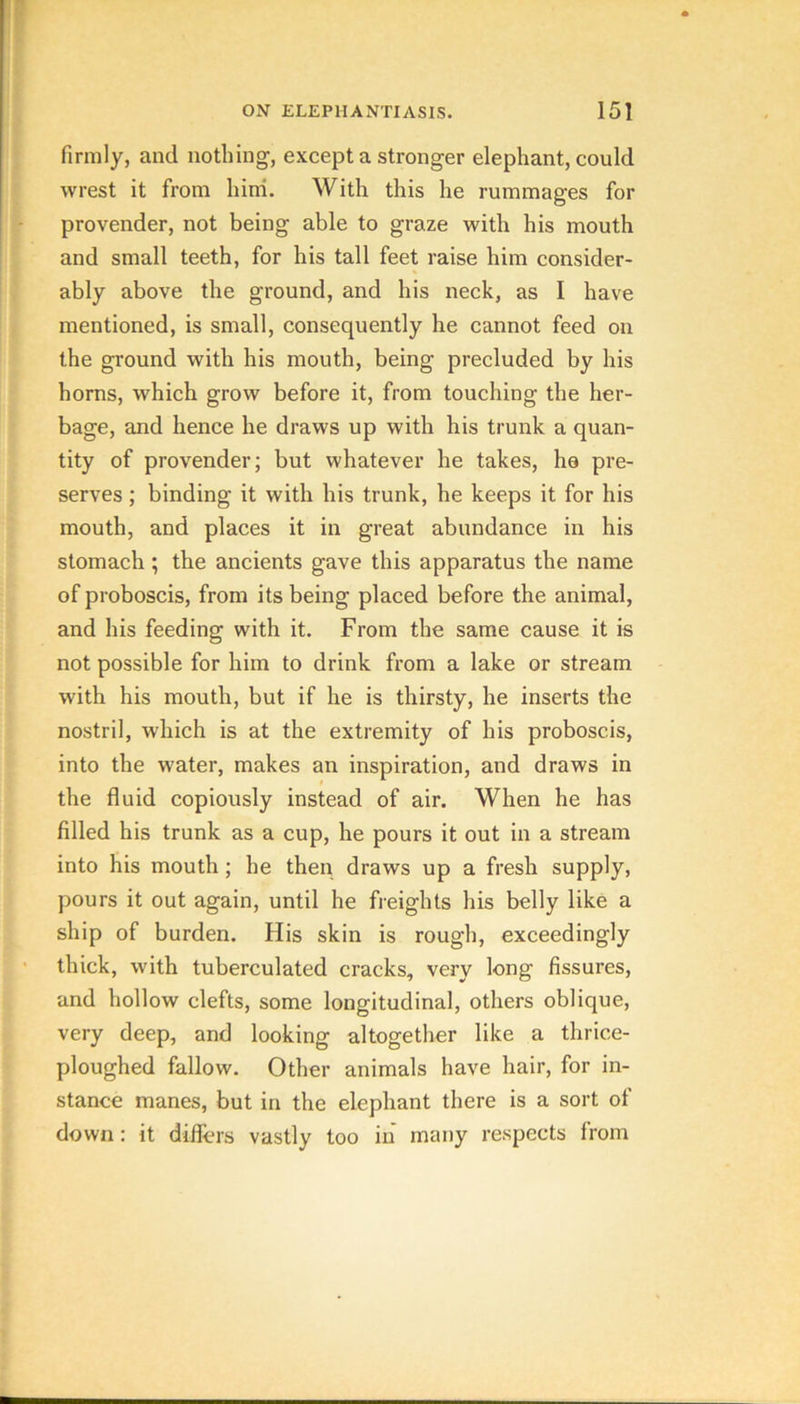 firmly, and nothing, except a stronger elephant, could wrest it from hini. With this he rummages for provender, not being able to graze with his mouth and small teeth, for his tall feet raise him consider- ably above the ground, and his neck, as I have mentioned, is small, consequently he cannot feed on the ground with his mouth, being precluded by his horns, which grow before it, from touching the her- bage, and hence he draws up with his trunk a quan- tity of provender; but whatever he takes, he pre- serves ; binding it with his trunk, he keeps it for his mouth, and places it in great abundance in his stomach ; the ancients gave this apparatus the name of proboscis, from its being placed before the animal, and his feeding with it. From the same cause it is not possible for him to drink from a lake or stream with his mouth, but if he is thirsty, he inserts the nostril, which is at the extremity of his proboscis, into the water, makes an inspiration, and draws in the fluid copiously instead of air. When he has filled his trunk as a cup, he pours it out in a stream into his mouth ; he then draws up a fresh supply, pours it out again, until he freights his belly like a ship of burden. His skin is rough, exceedingly thick, with tuberculated cracks, very long fissures, and hollow clefts, some longitudinal, others oblique, very deep, and looking altogether like a thrice- ploughed fallow. Other animals have hair, for in- stance manes, but in the elephant there is a sort of down: it diflers vastly too in many respects from