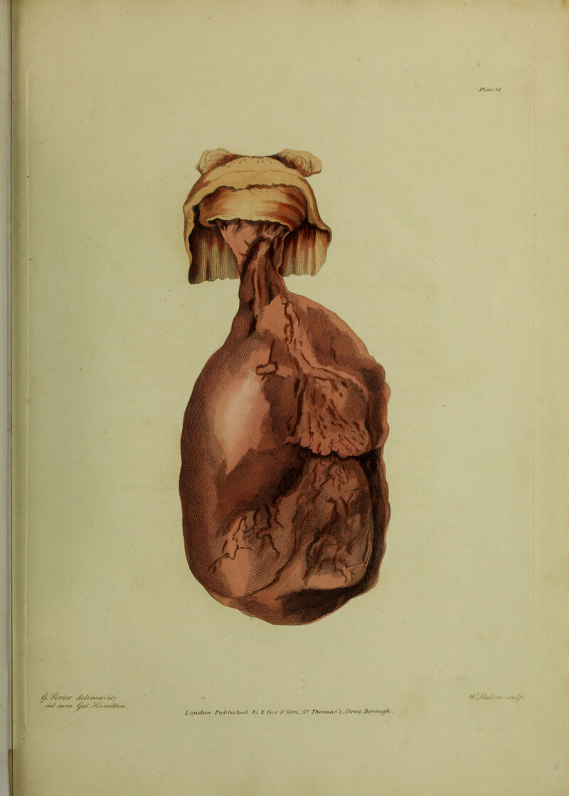 Plui-f /«/ •Hf/- e^^rt^ ^«y. Lorhct^n Pnf>Ushe(i bv K Co.v S'Son. S!~ Th^m.as's .Street Borough .