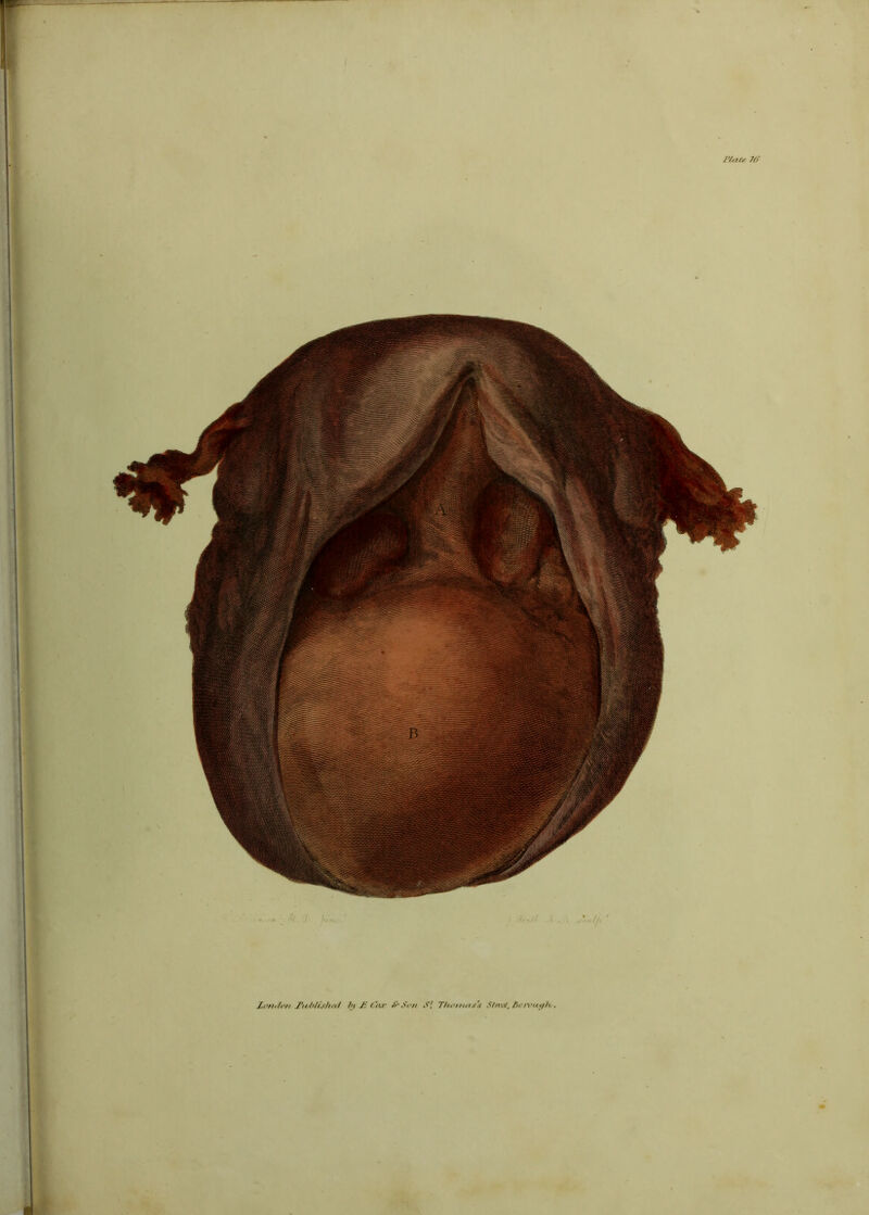 FieUf 70' „ •!'/. I I U-ll . J.nll, ' Lori,/i‘ri TitJi/A.c/icti by £ C/Kf Son Si T//t'nms',t Stn-a, Si ivui/bi-.