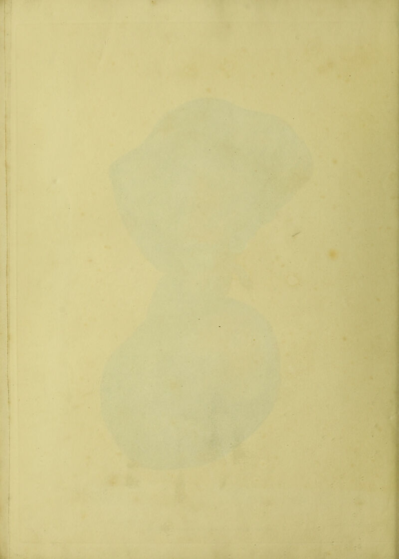 *';.■ ’*“ r.<: ^iia:'?■,..^» . \ r'/''iJS ** ’W' ''■ 1 ‘ • ' • ‘' M .'■'!■ • ' ' :4®« ■ ei.- ■ •'» ' ' ''> ■' ■ ‘ .V, ■' 'V. ';aaiPI| VA-:' V ■ ■ . . m * ■■'■' jrw' • :W >. V i?.:a5:'>. • ■ «• i:r .i- :■>:,'i .  ' ''rii ■ .-Irfl' ■>■' ' I.flV,.>»'-.y . i 1-,,^' f-. ,5#' • ' * .- M li •' '''^* - . Jl*'*. .'■ ' , ..•%V ,',..>M ‘r V' “'■ • ■ tr^ - ' •# , .jpJKa vV-f?V -^IIP . i.' -^’-4 ■■'■ ‘ ■■£ ' ^ j V''.Av/'*® ■ .V -; ^ ^ii.. ...>* ,'S' •« rt ^ »i ii.'• ■•* ’ ^ V , <r'‘kij*>>«l-t>irr^> • r*- ^ •* ' • • '^ nmj nBMIH;'' ‘Vife ^ ^ ^ ‘f'T.