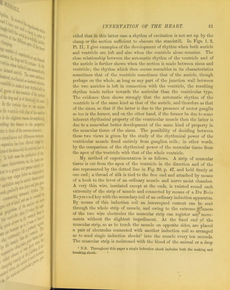 vided that in this latter case a rhythm of excitation is not set up by the clamp or the section sufficient to obscure the standstill. In Figs. 1, 2, PL II., I give examples of the development of rhythm when both auricle and ventricle are left and also when the ventricle alone remains. The close relationship between the automatic rhythm of the ventricle and of the auricle is further shown when the section is made between sinus and ventricle; the rhythm which then occurs resembles in its characteristics sometimes that of the ventricle sometimes that of the auricle, though perhaps on the whole, as long as any part of the junction wall between the two auricles is left in connection with the ventricle, the resulting rhythm tends rather towards the auricular than the ventricular type. The evidence then shows strongly that the automatic rhythm of the ventricle is of the same kind as that of the auricle, and therefore as that of the sinus, so that if the latter is due to the presence of motor ganglia so too is the former, and on the other hand, if the former be due to some inherent rhythmical property of the ventricular muscle then the latter is due to a somewhat better development of the same kind of property in the muscular tissue of the sinus. The possibility of deciding between these two views is given by the study of the rhythmical power of the ventricular muscle freed entirely from ganglion cells; in other words, by the comparison of the rhythmical power of the muscular tissue from the apex of the ventricle with that of the whole ventricle. My method of experimentation is as follows. A strip of muscular tissue is cut from the apex of the ventricle in the direction and of the size represented by the dotted line in Fig. 20, p. 47, and held firmly at one end; a thread of silk is tied to the free end and attached by means of a hook to the lever of an ordinary muscle and nerve moist chamber. A very thin wire, insulated except at the ends, is twisted round each extremity of the strip of muscle and connected by means of a Du Bo is Reymond key with the secondary coil of an ordinary induction apparatus. By means of this induction coil an interrupted current can be sent through the whole strip of muscle, and owing to the extreme ^frnness of the two wire electrodes the muscular strip can register amf move- ments without the slightest impediment. At the fixed end of the muscular strip, so as to touch the muscle on opposite sides, are placed a pair of electrodes connected with another induction coil so arranged as to send single induction shocks1 into the muscle every ten seconds. The muscular strip is moistened with the blood of the animal or a drop 1 N.B. Throughout this paper a single induction shock includes both the making and breaking shook. '