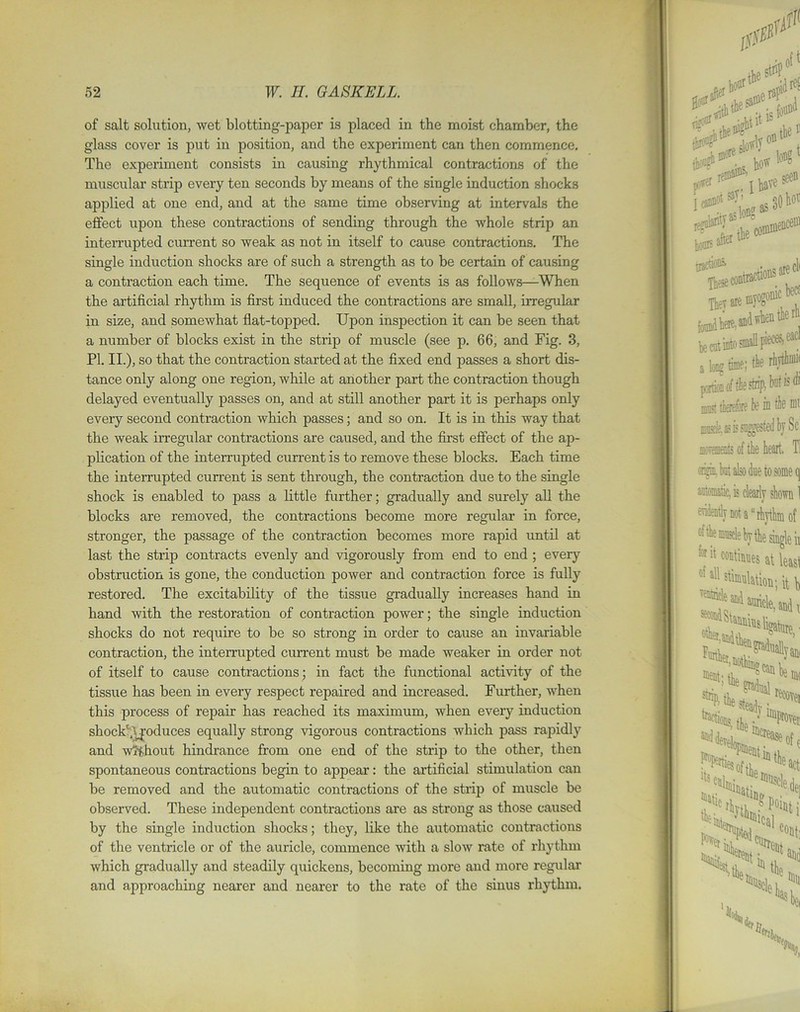 of salt solution, wet blotting-paper is placed in the moist chamber, the glass cover is put in position, and the experiment can then commence. The experiment consists in causing rhythmical contractions of the muscular strip every ten seconds by means of the single induction shocks applied at one end, and at the same time observing at intervals the effect upon these contractions of sending through the whole strip an interrupted current so weak as not in itself to cause contractions. The single induction shocks are of such a strength as to be certain of causing a contraction each time. The sequence of events is as follows—When the artificial rhythm is first induced the contractions are small, irregular in size, and somewhat flat-topped. Upon inspection it can be seen that a number of blocks exist in the strip of muscle (see p. 66, and Fig. 3, PI. II.), so that the contraction started at the fixed end passes a short dis- tance only along one region, while at another part the contraction though delayed eventually passes on, and at still another part it is perhaps only every second contraction which passes; and so on. It is in this way that the weak irregular contractions are caused, and the first effect of the ap- plication of the interrupted current is to remove these blocks. Each time the interrupted current is sent through, the contraction due to the single shock is enabled to pass a little further; gradually and surely all the blocks are removed, the contractions become more regular in force, stronger, the passage of the contraction becomes more rapid until at last the strip contracts evenly and vigorously from end to end ; every obstruction is gone, the conduction power and contraction force is fully restored. The excitability of the tissue gradually increases hand in hand with the restoration of contraction power; the single induction shocks do not require to be so strong in order to cause an invariable contraction, the interrupted current must be made weaker in order not of itself to cause contractions ; in fact the functional activity of the tissue has been in every respect repaired and increased. Further, when this process of repair has reached its maximum, when every induction shock' Vpduces equally strong vigorous contractions which pass rapidly and without hindrance from one end of the strip to the other, then spontaneous contractions begin to appear: the artificial stimulation can be removed and the automatic contractions of the strip of muscle be observed. These independent contractions are as strong as those caused by the single induction shocks; they, like the automatic contractions of the ventricle or of the auricle, commence with a slow rate of rhythm which gradually and steadily quickens, becoming more and more regular and approaching nearer and nearer to the rate of the sinus rhythm.