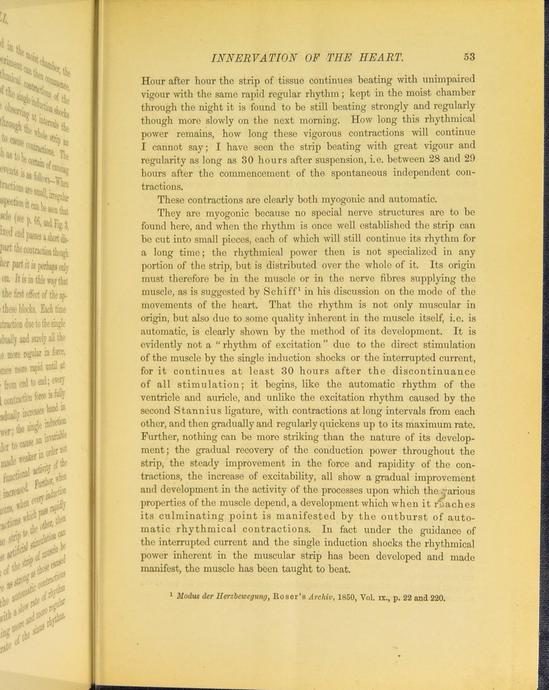 Hour after hour the strip of tissue continues beating with unimpaired vigour with the same rapid regular rhythm; kept in the moist chamber through the night it is found to be still beating strongly and regularly though more slowly on the next morning. How long this rhythmical power remains, how long these vigorous contractions will continue I cannot say; I have seen the strip beating with great vigour and regularity as long as 30 hours after suspension, i.e. between 28 and 29 hours after the commencement of the spontaneous independent con- tractions. These contractions are clearly both myogonic and automatic. They are myogonic because no special nerve structures are to be found here, and when the rhythm is once well established the strip can be cut into small pieces, each of which will still continue its rhythm for a long time; the rhythmical power then is not specialized in any portion of the strip, but is distributed over the whole of it. Its origin must therefore be in the muscle or in the nerve fibres supplying the muscle, as is suggested by Schiff1 in his discussion on the mode of the movements of the heart. That the rhythm is not only muscular in origin, hut also due to some quality inherent in the muscle itself, i.e. is automatic, is clearly shown by the method of its development. It is evidently not a “ rhythm of excitation ” due to the direct stimulation of the muscle by the single induction shocks or the interrupted current, for it continues at least 30 hours after the discontinuance of all stimulation; it begins, like the automatic rhythm of the ventricle and auricle, and unlike the excitation rhythm caused by the second Stannius ligature, with contractions at long intervals from each other, and then gradually and regularly quickens up to its maximum rate. Further, nothing can be more striking than the nature of its develop- ment; the gradual recovery of the conduction power throughout the strip, the steady improvement in the force and rapidity of the con- tractions, the increase of excitability, all show a gradual improvement and development in the activity of the processes upon which the various properties of the muscle depend, a development which when it roaches its culminating point is manifested by the outburst of auto- matic rhythmical contractions. In fact under the guidance of the interrupted current and the single induction shocks the rhythmical power inherent in the muscular strip has been developed and made manifest, the muscle has been taught to beat. 1 Modus der Herzbewcgung, Koser’s Archiv, 1850, Vol. ix., p. 22 and 220.