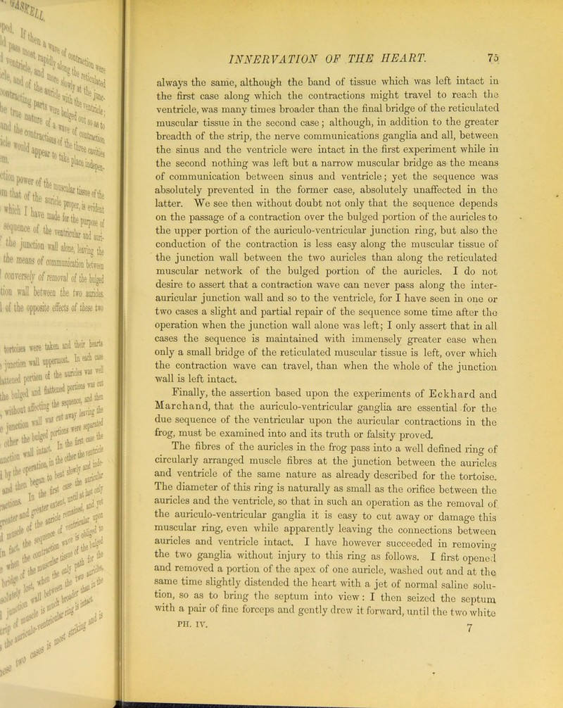 k,1*S>si^ and tL 'otHave„f Wa3to ;^‘S; /T^ti»'«,«*-aH. le JllDetion wall alone, leaving the the means of communication between converse]/ of removal of tie bulged tion wall between tie two auridei i of the opposite effects of these two INNERVATION OF THE HEART. 75 always the same, although the band of tissue which was left intact in the first case along which the contractions might travel to reach the ventricle, was many times broader than the final bridge of the reticulated muscular tissue in the second case; although, in addition to the greater breadth of the strip, the nerve communications ganglia and all, between the sinus and the ventricle were intact in the first experiment while in the second nothing was left but a narrow muscular bridge as the means of communication between sinus and ventricle; yet the sequence was absolutely prevented in the former case, absolutely unaffected in the latter. We see then without doubt not only that the sequence depends on the passage of a contraction over the bulged portion of the auricles to the upper portion of the auriculo-ventricular junction ring, but also the conduction of the contraction is less easy along the muscular tissue of the junction wall between the two auricles than along the reticulated muscular network of the bulged portion of the auricles. I do not desire to assert that a contraction wave can never pass along the inter- auricular junction wall and so to the ventricle, for I have seen in one or two cases a slight and partial repair of the sequence some time after the tortoises were taken and their hearts junction wall uppermost In each case i*1“vt1*2 e junction wall ^ ^ted <*>u^?b*<***, and ^ fa first & ^odlj fftction4 ^ter extend and fet In1* ,t. con*1*0.. tjcgueo1hr the ***$&. tnP , s#“° * operation when the junction wall alone was left; I only assert that in all cases the sequence is maintained with immensely greater ease when only a small bridge of the reticulated muscular tissue is left, over which the contraction wave can travel, than when the whole of the junction wall is left intact. Finally, the assertion based upon the experiments of Eckhard and Marchand, that the auriculo-ventricular ganglia are essential for the due sequence of the ventricular upon the auricular contractions in the frog, must be examined into and its truth or falsity proved. The fibres of the auricles in the frog pass into a well defined ring of circularly arranged muscle fibres at the junction between the auricles and ventricle of the same nature as already described for the tortoise. The diameter of this ring is naturally as small as the orifice between the auricles and the ventricle, so that in such an operation as the removal of the auriculo-ventricular ganglia it is easy to cut away or damage this muscular ring, even while apparently leaving the connections between auricles and ventricle intact. I have however succeeded in removing the two ganglia without injury to this ring as follows. I first opened and removed a portion of the apex of one auricle, washed out and at the same time slightly distended the heart with a jet of normal saline solu- tion, so as to bring the septum into view: I then seized the septum with a pair of fine forceps and gently drew it forward, until the two white PH. IV. 7 T
