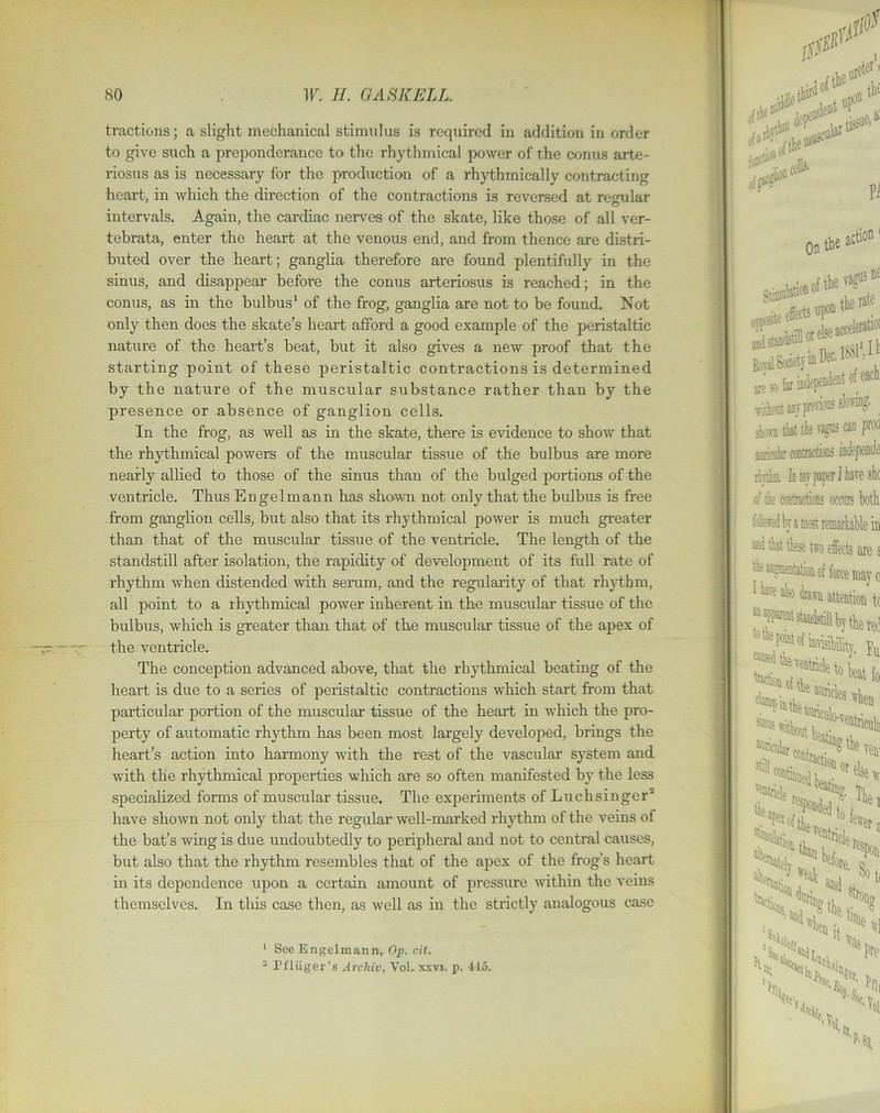 tractions; a slight mechanical stimulus is required in addition in order to give such a preponderance to the rhythmical power of the conus arte- riosus as is necessary for the production of a rhythmically contracting heart, in which the direction of the contractions is reversed at regular intervals. Again, the cardiac nerves of the skate, like those of all ver- tebrata, enter the heart at the venous end, and from thence are distri- buted over the heart; ganglia therefore are found plentifully in the sinus, and disappear before the conus arteriosus is reached; in the conus, as in the bulbus1 of the frog, ganglia are not to be found. Not only then does the skate’s heart afford a good example of the peristaltic nature of the heart’s beat, but it also gives a new proof that the starting point of these peristaltic contractions is determined by the nature of the muscular substance rather than by the presence or absence of ganglion cells. In the frog, as well as in the skate, there is evidence to show that the rhythmical powers of the muscular tissue of the bulbus are more nearly allied to those of the sinus than of the bulged portions of the ventricle. Thus Engelmann has shown not only that the bulbus is free from ganglion cells, but also that its rhythmical power is much greater than that of the muscular tissue of the ventricle. The length of the standstill after isolation, the rapidity of development of its full rate of rhythm when distended with serum, and the regularity of that rhythm, all point to a rhythmical power inherent in the muscular tissue of the bulbus, which is greater than that of the muscular tissue of the apex of the ventricle. The conception advanced above, that the rhythmical beating of the heart is due to a series of peristaltic contractions which start from that particular portion of the muscular tissue of the heart in which the pro- perty of automatic rhythm has been most largely developed, brings the heart’s action into harmony with the rest of the vascular system and with the rhythmical properties which are so often manifested by the less specialized forms of muscular tissue. The experiments ofLuchsinger2 have shown not only that the regular well-marked rhythm of the veins of the bat’s wing is due undoubtedly to peripheral and not to central causes, but also that the rhythm resembles that of the apex of the frog’s heart in its dependence upon a certain amount of pressure within the veins themselves. In this case then, as well as in the strictly analogous case 1 See Engelmann, Op. cit. 2 Pi'luger’s Archiv, Vol. xxvi. p. 415.