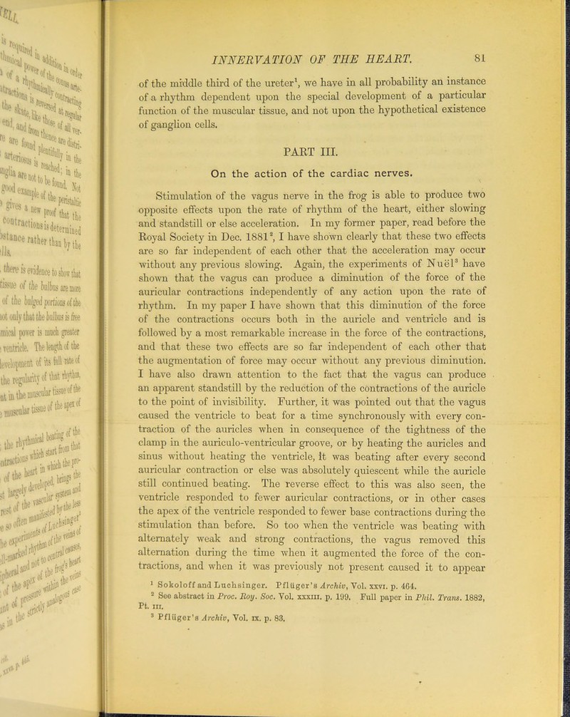 of the middle third of the ureter1, we have in all probability an instance of a rhythm dependent upon the special development of a particular function of the muscular tissue, and not upon the hypothetical existence of ganglion cells. PART III. On the action of the cardiac nerves. Stimulation of the vagus nerve in the frog is able to produce two opposite effects upon the rate of rhythm of the heart, either slowing and standstill or else acceleration. In my former paper, read before the Royal Society in Dec. 18812, I have shown clearly that these two effects are so far independent of each other that the acceleration may occur ■without any previous slowing. Again, the experiments of Nuel3 have shown that the vagus can produce a diminution of the force of the auricular contractions independently of any action upon the rate of rhythm. In my paper I have shown that this diminution of the force of the contractions occurs both in the auricle and ventricle and is followed by a most remarkable increase in the force of the contractions, and that these two effects are so far independent of each other that the augmentation of force may occur without any previous diminution. I have also drawn attention to the fact that the vagus can produce an apparent standstill by the reduction of the contractions of the auricle to the point of invisibility. Further, it was pointed out that the vagus caused the ventricle to beat for a time synchronously with every con- traction of the auricles when in consequence of the tightness of the clamp in the auriculo-ventricular groove, or by heating the auricles and sinus without heating the ventricle, it was beating after every second auricular contraction or else was absolutely quiescent while the auricle still continued beating. The reverse effect to this was also seen, the ventricle responded to fewer auricular contractions, or in other cases the apex of the ventricle responded to fewer base contractions during the stimulation than before. So too when the ventricle was beating with alternately weak and strong contractions, the vagus removed this alternation during the time when it augmented the force of the con- tractions, and when it was previously not present caused it to appear 1 Sokoloff and Luchsinger. Pfliiger’s Arohiv, Vol. xxvi. p. 464. 2 See abstract in Proc. Roy. Soc. Vol. xxxm. p. 109. Full paper in Phil. Trans. 1882, Pt. hi.