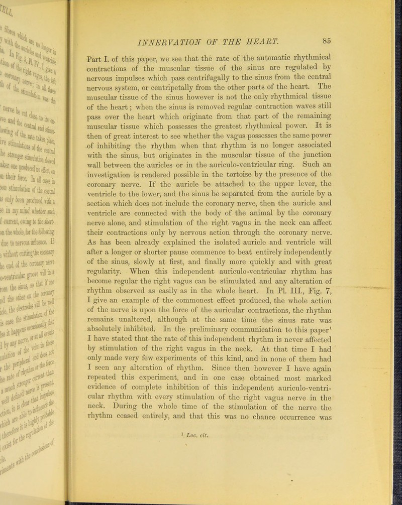 he stronger stimulati. “»one produced no ® their force, In ji wn srirnulation ol ISO! se in f current, owing to the short- j without cutting^ coronary he end of the coronary oerre INNERVATION OF THE HEART. 85 Part I. of this paper, we see that the rate of the automatic rhythmical contractions of the muscular tissue of the sinus are regulated by nervous impulses which pass centrifugally to the sinus from the central nervous system, or centripetally from the other parts of the heart. The muscular tissue of the sinus however is not the only rhythmical tissue of the heart; when the sinus is removed regular contraction waves still pass over the heart which originate from that part of the remaining muscular tissue which possesses the greatest rhythmical power. It is then of great interest to see whether the vagus possesses the same power of inhibiting the rhythm when that rhythm is no longer associated with the sinus, but originates in the muscular tissue of the junction wall between the auricles or in the auriculo-ventricular ring. Such an investigation is rendered possible in the tortoise by the presence of the coronary nerve. If the auricle be attached to the upper lever, the ventricle to the lower, and the sinus be separated from the auricle by a section which does not include the coronary nerve, then the auricle and ventricle are connected with the body of the animal by the coronary nerve alone, and stimulation of the right vagus in the neck can affect their contractions only by nervous action through the coronary nerve. As has been already explained the isolated auricle and ventricle will after a longer or shorter pause commence to beat entirely independently of the sinus, slowly at first, and finally more quickly and with great regularity. When this independent auriculo-ventricular rhythm has become regular the right vagus can be stimulated and any alteration of rhythm observed as easily as in the whole heart. In PI. III., Pig. 7, I give an example of the commonest effect produced, the whole action of the nerve is upon the force of the auricular contractions, the rhythm remains unaltered, although at the same time the sinus rate was absolutely inhibited. In the preliminary communication to this paper1 I have stated that the rate of this independent rhythm is never affected by stimulation of the right vagus in the neck. At that time I had only made very few experiments of this kind, and in none of them had I seen any alteration of rhythm. Since then however I have again repeated this experiment, and in one case obtained most marked evidence of complete inhibition of this independent auriculo-ventri- cular rhythm with every stimulation of the right vagus nerve in the neck. During the whole time of the stimulation of the nerve the rhythm ceased entirely, and that this was no chance occurrence was