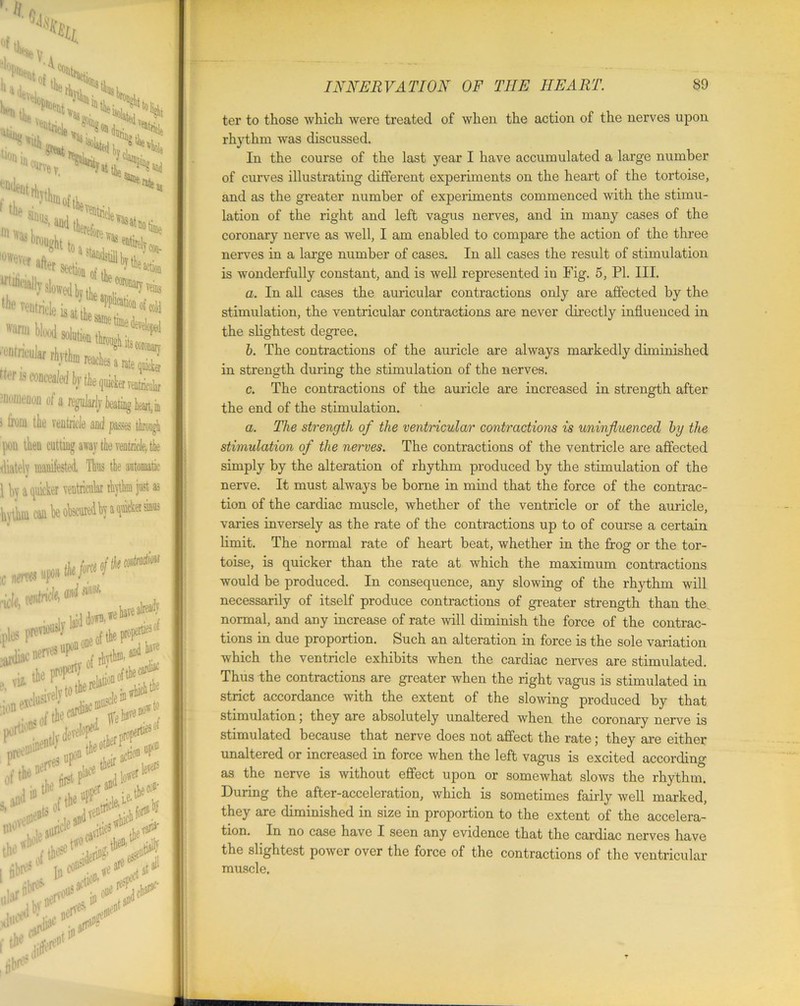 in to; section of A. “,uieactl® ' “e coronary, entncuJar rhythm reaches a rs tto is concealed bj the quicker iioineuoii oi a regularly bearing htan.ii > twin the ventricle and passes through pou tlieu cutting away the ventricle, the diatelv manifested Thus the automatic 1 by a quicker ventricular rhythm just as hythm can be obscured by a quicker m ter to those which were treated of when the action of the nerves upon rhythm was discussed. In the course of the last year I have accumulated a large number of curves illustrating different experiments on the heart of the tortoise, and as the greater number of experiments commenced with the stimu- lation of the right and left vagus nerves, and in many cases of the coronary nerve as well, I am enabled to compare the action of the three nerves in a large number of cases. In all cases the result of stimulation is wonderfully constant, and is well represented in Fig. 5, PI. III. a. In all cases the auricular contractions only are affected by the stimulation, the ventricular contractions are never directly influenced in the slightest degree. b. The contractions of the auricle are always markedly diminished in strength during the stimulation of the nerves. c. The contractions of the auricle are increased in strength after the end of the stimulation. a. The strength of the ventricular contractions is uninfluenced by the stimulation of the nerves. The contractions of the ventricle are affected simply by the alteration of rhythm produced by the stimulation of the nerve. It must always be borne in mind that the force of the contrac- tion of the cardiac muscle, whether of the ventricle or of the auricle, varies inversely as the rate of the contractions up to of course a certain limit. The normal rate of heart beat, whether in the frog or the tor- toise, is quicker than the rate at which the maximum contractions would be produced. In consequence, any slowing of the rhythm will necessarily of itself produce contractions of greater strength than the normal, and any increase of rate will diminish the force of the contrac- tions in due proportion. Such an alteration in force is the sole variation which the ventricle exhibits when the cardiac nerves are stimulated. Thus the contractions are greater when the right vagus is stimulated in strict accordance with the extent of the slowing produced by that stimulation j they are absolutely unaltered when the coronary nerve is stimulated because that nerve does not affect the rate; they are either unaltered or increased in force when the left vagus is excited according as the nerve is without effect upon or somewhat slows the rhythm. During the after-acceleration, which is sometimes fairly well marked, they are diminished in size in proportion to the extent of the accelera- tion. In no case have I seen any evidence that the cardiac nerves have the slightest power over the force of the contractions of the ventricular muscle.
