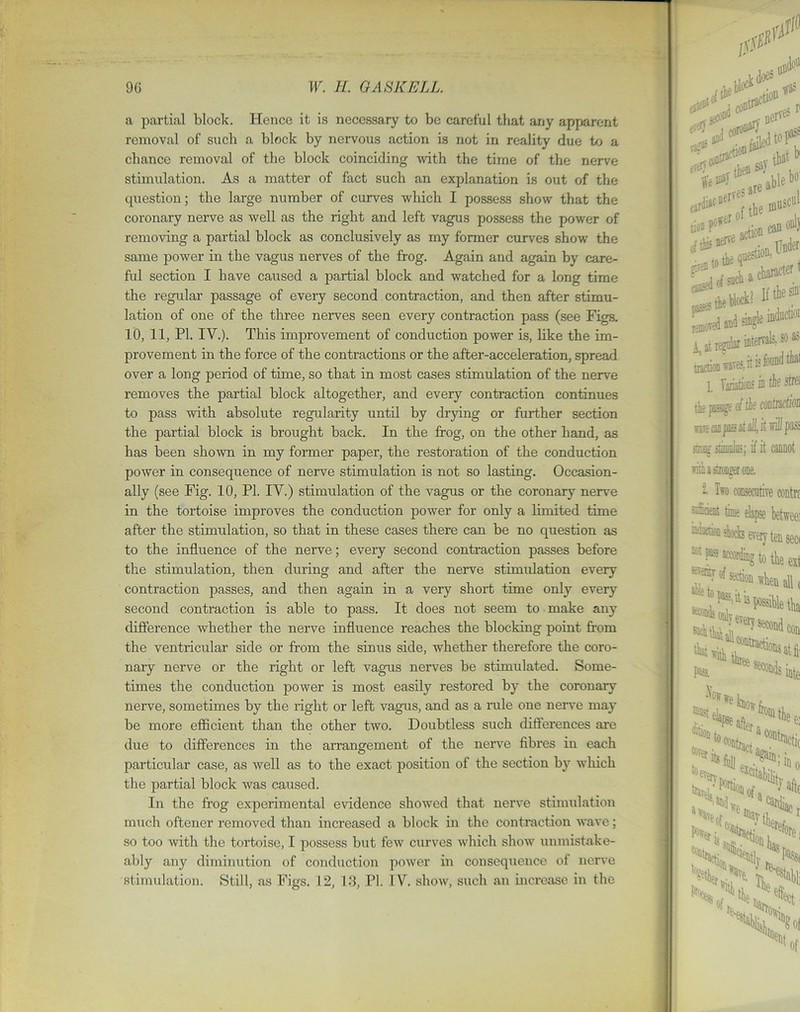 a partial block. Hence it is necessary to be careful that any apparent removal of such a block by nervous action is not in reality due to a chance removal of the block coinciding with the time of the nerve stimulation. As a matter of fact such an explanation is out of the question; the large number of curves which I possess show that the coronary nerve as well as the right and left vagus possess the power of removing a partial block as conclusively as my former curves show the same power in the vagus nerves of the frog. Again and again by care- ful section I have caused a partial block and watched for a long time the regular passage of every second contraction, and then after stimu- lation of one of the three nerves seen every contraction pass (see Figs. 10, 11, PI. IV.). This improvement of conduction power is, like the im- provement in the force of the contractions or the after-acceleration, spread over a long period of time, so that in most cases stimulation of the nerve removes the partial block altogether, and every contraction continues to pass with absolute regularity until by drying or further section the partial block is brought back. In the frog, on the other hand, as has been shown in my former paper, the restoration of the conduction power in consequence of nerve stimulation is not so lasting. Occasion- ally (see Fig. 10, PI. IV.) stimulation of the vagus or the coronary nerve in the tortoise improves the conduction power for only a limited time after the stimulation, so that in these cases there can be no question as to the influence of the nerve; every second contraction passes before the stimulation, then during and after the nerve stimulation every contraction passes, and then again in a very short time only every second contraction is able to pass. It does not seem to make any difference whether the nerve influence reaches the blocking point from the ventricular side or from the sinus side, whether therefore the coro- nary nerve or the right or left vagus nerves be stimulated. Some- times the conduction power is most easily restored by the coronary nerve, sometimes by the right or left vagus, and as a rule one nerve may be more efficient than the other two. Doubtless such differences are due to differences in the arrangement of the nerve fibres in each particular case, as well as to the exact position of the section by which the partial block was caused. In the frog experimental evidence showed that nerve stimulation much oftener removed than increased a block in the contraction wave; so too with the tortoise, I possess but few curves which show unmistake- ably any diminution of conduction power in consequence of nerve