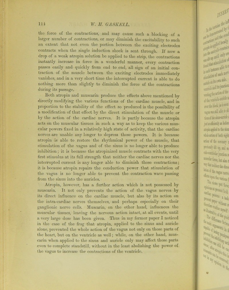 tliG foice ol the conti actions, and may cause such a blocking of a larger number of contractions, or may diminish the excitability to such an extent that not even the portion between the exciting electrodes contracts when the single induction shock is sent through. If now a drop of a weak atropin solution be applied to the strip, the contractions instantly increase in force in a wonderful manner, every contraction passes easily and quickly from end to end, all sign of an initial con- traction of the muscle between the exciting electrodes immediately vanishes, and in a very short time the interrupted current is able to do nothing more than slightly to diminish the force of the contractions during its passage. Both atropin and muscarin produce the effects above mentioned by directly modifying the various functions of the cardiac muscle, and in proportion to the stability of the effect so produced is the possibility of a modification of that effect by the direct stimulation of the muscle or by the action of the cardiac nerves. It is partly because the atropin acts on the muscular tissues in such a way as to keep the various mus- cular powers fixed in a relatively high state of activity, that the cardiac nerves are unable any longer to depress those powers. It is because atropin is able to restore the rhythmical power of the muscle, that stimulation of the vagus and of the sinus is no longer able to produce inhibition; it is because the atropinized muscle contracts with the very first stimulus at its full strength that neither the cardiac nerves nor the interrupted current is any longer able to diminish those contractions; it is because atropin repairs the conduction power that stimulation of the vagus is no longer able to prevent the contraction wave passing from the sinus into the auricles. Atropin, however, has a further action which is not possessed by muscarin. It not only prevents the action of the vagus nerves by its direct influence on the cardiac muscle, but also by its action on the intra-cardiac nerves themselves, and perhaps especially on their ganglionic nerve cells. Muscarin, on the other hand, influences the muscular tissues, leaving the nei'vous action intact, at all events, until a very large dose has been given. Thus in my former paper I noticed in the case of the frog that atropin, applied to the sinus and auricle alone, prevented the whole action of the vagus not only on those parts of the heart, but on the ventricle as well; while, on the other hand, mus- carin when applied to the sinus and auricle only may affect those parts even to complete standstill, without in the least abolishing the power of the vagus to increase the contractions of the ventricle.