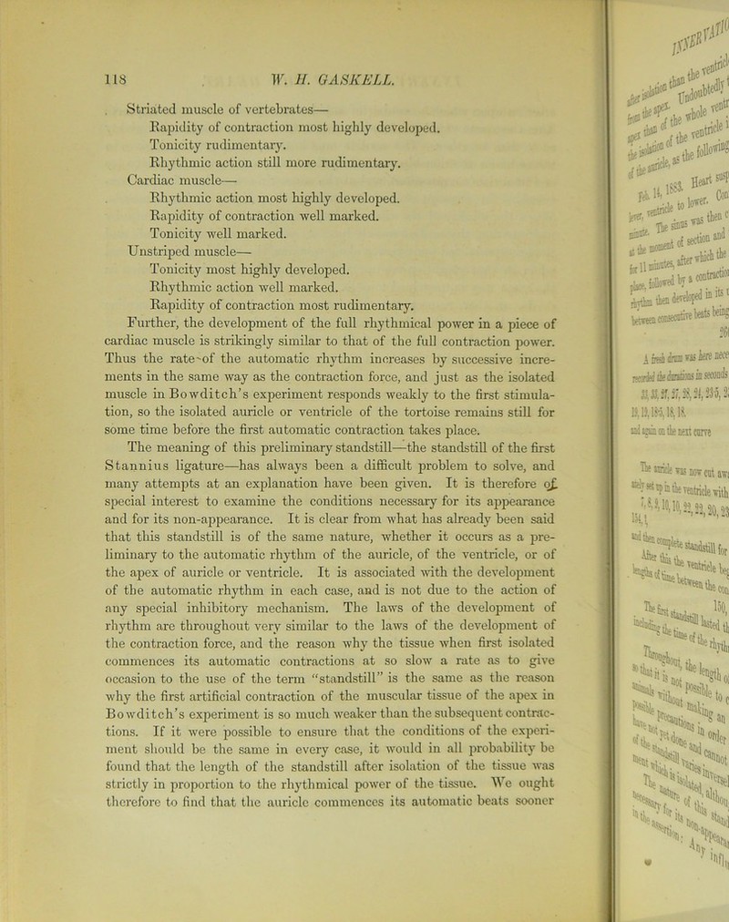 Striated muscle of vertebrates— Rapidity of contraction most highly developed. Tonicity rudimentary. Rhythmic action still more rudimentary. Cardiac muscle— Rhythmic action most highly developed. Rapidity of contraction well marked. Tonicity well marked. Unstriped muscle— Tonicity most highly developed. Rhythmic action well marked. Rapidity of contraction most rudimentary. Further, the development of the full rhythmical power in a piece of cardiac muscle is strikingly similar to that of the full contraction power. Thus the ratemf the automatic rhythm increases by successive incre- ments in the same way as the contraction force, and just as the isolated muscle in Bowditch’s experiment responds weakly to the first stimula- tion, so the isolated auricle or ventricle of the tortoise remains still for some time before the first automatic contraction takes place. The meaning of this preliminary standstill—the standstill of the first Stannius ligature—has always been a difficult problem to solve, and many attempts at an explanation have been given. It is therefore o£ special interest to examine the conditions necessary for its appearance and for its non-appearance. It is clear from what has already been said that this standstill is of the same nature, whether it occurs as a pre- liminary to the automatic rhythm of the auricle, of the ventricle, or of the apex of auricle or ventricle. It is associated with the development of the automatic rhythm in each case, and is not due to the action of any special inhibitory mechanism. The laws of the development of rhythm are throughout very similar to the laws of the development of the contraction force, and the reason why the tissue when first isolated commences its automatic contractions at so slow a rate as to give occasion to the use of the term “standstill” is the same as the reason why the first artificial contraction of the muscular tissue of the apex in Bowditch’s experiment is so much weaker than the subsequent contrac- tions. If it were possible to ensure that the conditions of the experi- ment should be the same in every case, it would in all probability be found that the length of the standstill after isolation of the tissue was strictly in proportion to the rhythmical power of the tissue. We ought therefore to find that the auricle commences its automatic beats sooner