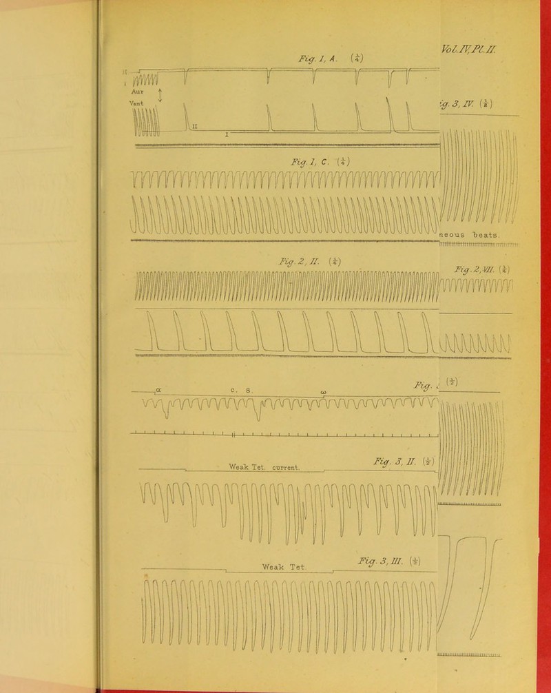 Fig. 7, A ii) Fig. 2, 71. (*) Fig .2, V71. {¥) m