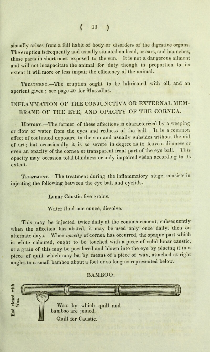 sionally arises from a full habit of body or disorders of the digestive organs. The eruption is frequently and usually situated on head, or ears, and haunches, those parts in short most exposed to the sun. It is not a dangerous ailment and will not incapacitate the animal for duty though in proportion to its extent it will more or less impair the efficiency of the animal. Treatment.—The eruption ought to be lubricated with oil, and an aperient given ; see page 40 for Mussallas. INFLAMMATION OF THE CONJUNCTIVA OR EXTERNAL MEM- BRANE OF THE EYE, AND OPACITY OF THE CORNEA. History.—The former of these affections is characterized by a weeping or flow of water from the eyes and redness of the ball. It is a common effect of continued exposure to the sun and usually subsides without the aid of art; but occasionally it is so severe in degree as to leave a dimness or even an opacity of the cornea or transparent front part of the eye ball. 1 ins opacity may occasion total blindness or only impaired vision according to its extent. Treatment.—The treatment during the inflammatory stage, consists in injecting the following between the eye ball and eyelids. Lunar Caustic five grains. Water fluid one ounce, dissolve. This may be injected twice daily at the commencement, subsequently when the affection has abated, it may be used only once daily, then on alternate days. When opacity of cornea has occurred, the opaque part which is white coloured, ought to be touched with a piece of solid lunar caustic, or a grain of this may be powdered and blown into the eye by placing it in a piece of quill which may be, by means of a piece of wax, attached at right angles to a small bamboo about a foot or so long as represented below. BAMBOO. T3 a W Wax by which quill and bamboo are joined. Quill for Caustic.
