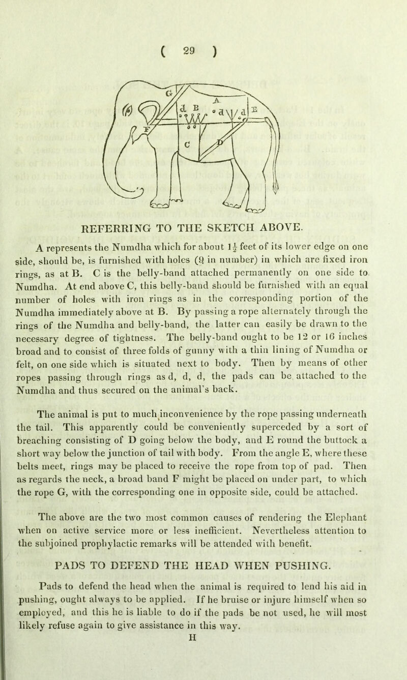 REFERRING TO THE SKETCH ABOVE. A represents the Numdha which for about feet of its lower edge on one side, should be, is furnished with holes (Q in number) in which are fixed iron rings, as at B. C is the belly-band attached permanently on one side to Numdha. At end above C, this belly-band should be furnished with an equal number of holes with iron rings as in the corresponding portion of the Numdha immediately above at B. By passing a rope alternately through the rings of the Numdha and belly-band, the latter can easily be drawn to the necessary degree of tightness. The belly-band ought to be 12 or 10 inches broad and to consist of three folds of gunny with a thin lining of Numdha or felt, on one side which is situated next to body. Then by means of other ropes passing through rings as d, d, d, the pads can be attached to the Numdha and thus secured on the animal’s back. The animal is put to much inconvenience by the rope passing underneath the tail. This apparently could be conveniently superceded by a sort of breaching consisting of D going below the body, and E round the buttock a short way below the junction of tail with body. From the angle E, where these belts meet, rings may be placed to receive the rope from top of pad. Then as regards the neck, a broad band F might be placed on under part, to which the rope G, with the corresponding one in opposite side, could be attached. The above are the two most common causes of rendering the Elephant when on active service more or less inefficient. Nevertheless attention to the subjoined prophylactic remarks will be attended with benefit. PADS TO DEFEND THE HEAD WHEN PUSHING. Pads to defend the head when the animal is required to lend his aid in pushing, ought always to be applied. If he bruise or injure himself when so employed, and this he is liable to do if the pads be not used, he will most likely refuse again to give assistance in this way. H