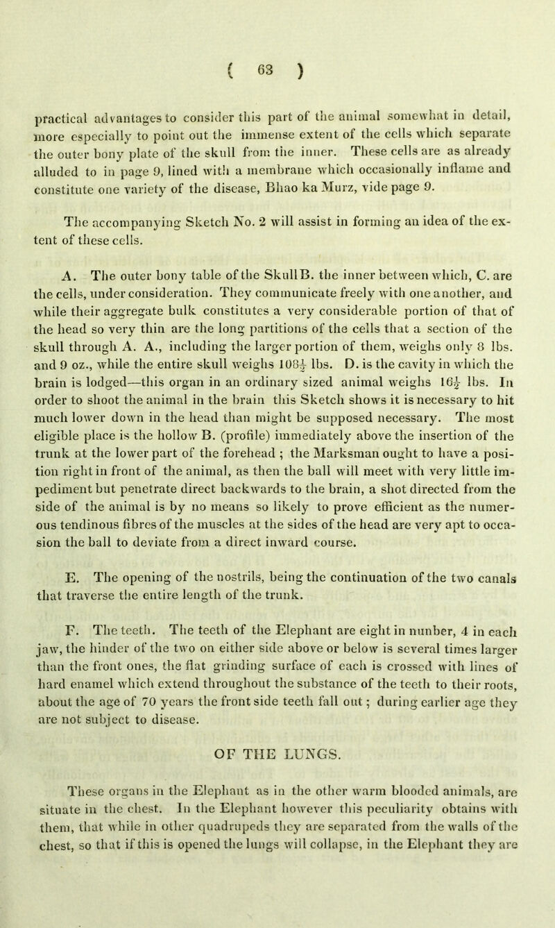 practical advantages to consider this part of the animal somewhat in detail, more especially to point out the immense extent of the cells which separate the outer bony plate of the skull from the inner. These cells are as already alluded to in page 9, lined with a membrane which occasionally inflame and constitute one variety of the disease, Bliao ka Murz, vide page 9. The accompanying Sketch No. 2 will assist in forming an idea of the ex- tent of these cells. A. The outer bony table of the SkullB. the inner between which, C. are the cells, under consideration. They communicate freely with one another, and while their aggregate bulk constitutes a very considerable portion of that of the head so very thin are the long partitions of the cells that a section of the skull through A. A., including the larger portion of them, weighs only 8 lbs. and 9 oz., while the entire skull weighs 108^ lbs. D. is the cavity in which the brain is lodged—this organ in an ordinary sized animal weighs 16£ lbs. In order to shoot the animal in the brain this Sketch shows it is necessary to hit much lower down in the head than might be supposed necessary. The most eligible place is the hollow B. (profile) immediately above the insertion of the trunk at the lower part of the forehead ; the Marksman ought to have a posi- tion right in front of the animal, as then the ball will meet with very little im- pediment but penetrate direct backwards to the brain, a shot directed from the side of the animal is by no means so likely to prove efficient as the numer- ous tendinous fibres of the muscles at the sides of the head are very apt to occa- sion the ball to deviate from a direct inward course. E. The opening of the nostrils, being the continuation of the two canals that traverse the entire length of the trunk. F. The teeth. The teeth of the Elephant are eight in nunber, 4 in each jaw, the hinder of the two on either side above or below is several times larger than the front ones, the flat grinding surface of each is crossed with lines of hard enamel which extend throughout the substance of the teeth to their roots, about the age of 70 years the front side teeth fall out; during earlier age they are not subject to disease. OF THE LUNGS. These organs in the Elephant as in the other warm blooded animals, are situate in the chest. In the Elephant however this peculiarity obtains with them, that while in other quadrupeds they are separated from the walls of the chest, so that if this is opened the lungs will collapse, in the Elephant they are
