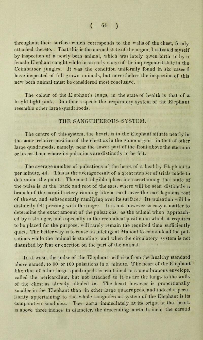 ( 6* ) throughout their surface which corresponds to the walls of the chest, firmly attached thereto. That this is the normal state of the organ, I satisfied myself by inspection of a newly born animal, which was lately given birth to by a female Elephant caught while in an early stage of the impregnated state in the Coiinbatoor jungles. It was the condition uniformly found in six cases I have inspected of full grown animals, but nevertheless the inspection of this new born animal must be considered most conclusive. The colour of the Elephant’s lungs, in the state of health is that of a bright light pink. In other respects the respiratory system of the Elephant resemble other large quadrupeds. THE SANGUIFEROUS SYSTEM. The centre of this system, the heart, is in the Elephant situate nearly in the same relative position of the chest as in the same organ—in that of other large quadrupeds, namely, near the lower part of the front above the sternum or breast bone where its pulsations are distinctly to be felt. The average number of pulsations of the heart of a healthy Elephant is per minute, 44. This is the average result of a great number of trials made to determine the point. The most eligible place for ascertaining the state of the pulse is at the back and root of the ears, where will be seen distinctly a branch of the carotid artery running like a card over the cartilaginous root of the ear, and subsequently ramifying over its surface. Its pulsation will be distinctly felt pressing with the finger. It is not however so easy a matter to determine the exact amount of the pulsations, as the animal when approach- ed by a stranger, and especially in the recumbent position in which it requires to be placed for the purpose, will rarely remain the required time sufficiently quiet. The better way is to cause an intelligent Mahout to count aloud the pul- sations while the animal is standing, and when the circulatory system is not disturbed by fear or exertion on the part of the animal. In disease, the pulse of the Elephant will rise from the healthy standard above named, to 90 or 100 pulsations in a minute. The heart of the Elephant like that of other large quadrupeds is contained in a membranous envelope, called the pericardium, but not attached to it, as are the lungs to the walls of the chest as already alluded to. The heart however is proportionally smaller in the Elephant than in other large quadrupeds, and indeed a pecu- liarity appertaining to the whole sanguiferous system of the Elephant is its comparative smallness. The aorta immediately at its origin at the heart, is above three inches in diameter, the descending aorta inch, the carotid