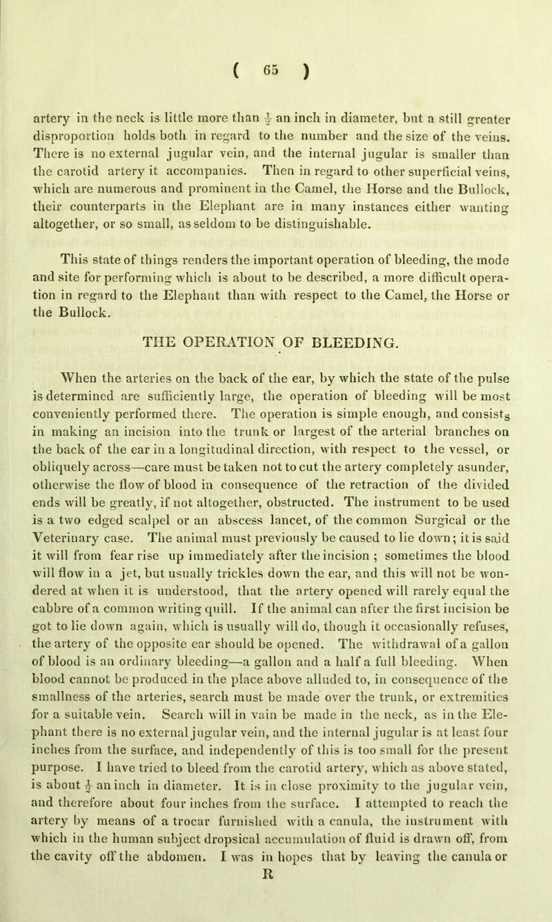 artery in the neck is little more than an inch in diameter, but a still greater disproportion holds both in regard to the number and the size of the veins. There is no external jugular vein, and the internal jugular is smaller than the carotid artery it accompanies. Then in regard to other superficial veins, which are numerous and prominent in the Camel, the Horse and the Bullock, their counterparts in the Elephant are in many instances either wanting altogether, or so small, as seldom to be distinguishable. This state of things renders the important operation of bleeding, the mode and site for performing which is about to be described, a more difficult opera- tion in regard to the Elephant than with respect to the Camel, the Horse or the Bullock. THE OPERATION OF BLEEDING. When the arteries on the back of the ear, by which the state of the pulse is determined are sufficiently large, the operation of bleeding will be most conveniently performed there. The operation is simple enough, and consists in making an incision into the trunk or largest of the arterial branches on the back of the ear in a longitudinal direction, with respect to the vessel, or obliquely across—care must be taken not to cut the artery completely asunder, otherwise the flow of blood in consequence of the retraction of the divided ends will be greatly, if not altogether, obstructed. The instrument to be used is a two edged scalpel or an abscess lancet, of the common Surgical or the Veterinary case. The animal must previously be caused to lie down; it is said it will from fear rise up immediately after the incision ; sometimes the blood will flow in a jet, but usually trickles down the ear, and this will not be won- dered at when it is understood, that the artery opened will rarely equal the cabbre of a common writing quill. If the animal can after the first incision be got to lie down again, which is usually will do, though it occasionally refuses, the artery of the opposite ear should be opened. The withdrawal of a gallon of blood is an ordinary bleeding—a gallon and a half a full bleeding. When blood cannot be produced in the place above alluded to, in consequence of the smallness of the arteries, search must be made over the trunk, or extremities for a suitable vein. Search will in vain be made in the neck, as in the Ele- phant there is no external jugular vein, and the internal jugular is at least four inches from the surface, and independently of this is too small for the present purpose. I have tried to bleed from the carotid artery, which as above stated, is about ^ an inch in diameter. It is in close proximity to the jugular vein, and therefore about four inches from the surface. I attempted to reach the artery by means of a trocar furnished with a canula, the instrument with which in the human subject dropsical accumulation of fluid is drawn off, from the cavity off the abdomen. I was in hopes that by leaving the canula or R