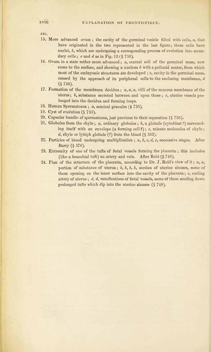 FIG, 15. More advanced ovum; the cavity of the germinal vesicle tilled with cells, a, that have originated in the two represented in the last figure; these cells have nuclei, b, which are undergoing a corresponding process of evolution into secon- dary cells ; c and d as in Fig. 13 (§ 758). 16. Ovum in a state rather more advanced ; a, central cell of the germinal mass, now come to the surface, and showing a nucleus b with a pellucid centre, from which most of the embryonic structures are developed ; c, cavity in the germinal mass, caused by the approach of its peripheral cells to the enclosing membrane, d (§ 758). 17. Formation of the membrana decidua ; a, a, a, villi of the mucous membrane of the uterus; 5, substance secreted between and upon these ; c, uterine vessels pro- longed into the decidua and forming loops. 18. Human Spermatozoa ; a, seminal granules (§ 735). 19. Cyst of evolution (§ 735). 20. Capsular bundle of spermatozoa, just previous to their separation (§ 735). 21. Globules from the chyle; «, ordinary globules; 5, a globule (cytoblast?) surround- ing itself with an envelope (a forming cell ?) ; c, minute molecules of chyle ; d, chyle or lymph globule (?) from the blood (§ 563). 22. Particles of blood undergoing multiplication ; a, b, c, d, e, successive stages. After Barry (§ 576). 23. Extremity of one of the tufts of foetal vessels forming the placenta; this includes (like a branchial tuft) an artery and vein. After Reid (§ 749). 24. Plan of the structure of the placenta, according to Dr. J. Reid’s view of it; a, a, portion of substance of uterus ; 5, 5, b, b, section of uterine sinuses, some of them opening on the inner surface into the cavity of the placenta; c, curling artery of uterus ; o?, d, ramifications of foetal vessels, some of them sending down prolonged tufts which dip into the uterine sinuses (§ 749).