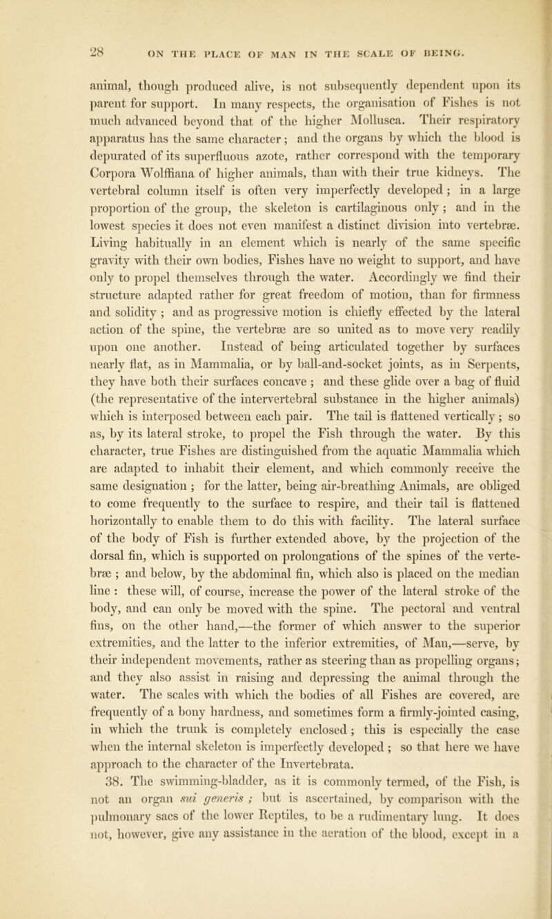 animal, though produced alive, is not subsequently dependent upon its parent for support. In many respects, the organisation of Fishes is not much advanced beyond that of the higher Mollusca. Their respiratory apparatus has the same character; and the organs by which the blood is depurated of its superfluous azote, rather correspond with the temporary Corpora Wolffiana of higher animals, than with their true kidneys. The vertebral column itself is often very imperfectly developed ; in a large proportion of the group, the skeleton is cartilaginous only ; and in the lowest species it does not even manifest a distinct division into vertebrae. Living habitually in an element which is nearly of the same specific gravity with their own bodies, Fishes have no weight to support, and have only to propel themselves through the water. Accordingly we find their structure adapted rather for great freedom of motion, than for firmness and solidity ; and as progressive motion is chiefly effected by the lateral action of the spine, the vertebrae are so united as to move very readily upon one another. Instead of being articulated together by surfaces nearly flat, as in Mammalia, or by ball-and-socket joints, as in Serpents, they have both their surfaces concave ; and these glide over a bag of fluid (the representative of the intervertebral substance in the higher animals) which is interposed between each pair. The tail is flattened vertically; so as, by its lateral stroke, to propel the Fish through the water. By this character, true Fishes are distinguished from the aquatic Mammalia which are adapted to inhabit their element, and which commonly receive the same designation ; for the latter, being air-breathing Animals, are obliged to come frequently to the surface to respire, and their tail is flattened horizontally to enable them to do this with facility. The lateral surface of the body of Fish is further extended above, by the projection of the dorsal fin, which is supported on prolongations of the spines of the verte- brae ; and below, by the abdominal fin, which also is placed on the median line : these will, of course, increase the power of the lateral stroke of the body, and can only be moved with the spine. The pectoral and ventral fins, on the other hand,—the former of which answer to the superior extremities, and the latter to the inferior extremities, of Man,—serve, by their independent movements, rather as steering than as propelling organs; and they also assist in raising and depressing the animal through the water. The scales with which the bodies of all Fishes are covered, are frequently of a bony hardness, and sometimes form a firmly-jointed casing, in which the trunk is completely enclosed; this is especially the case when the internal skeleton is imperfectly developed ; so that here we have approach to the character of the Invertebrata. 38. The swimming-bladder, as it is commonly termed, of the Fish, is not an organ sui generis ; hut is ascertained, by comparison with the pulmonary sacs of the lower Rep tiles, to he a rudimentary lung. It does not, however, give any assistance in the aeration of the blood, except in a