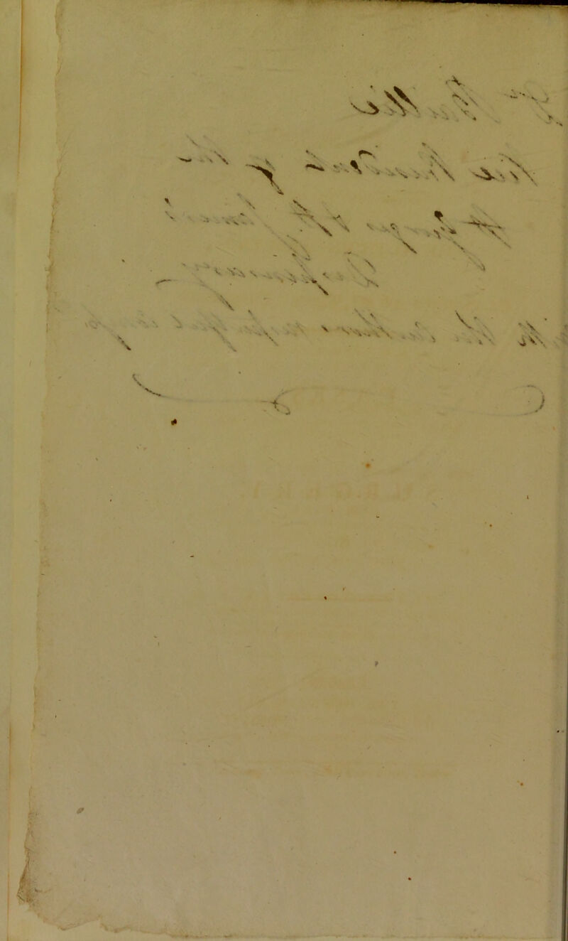 •• 'V-\ v'v N. , . X V '■- vv> >v \ •. \ \~ X N ^ ■-* \ '' \ X V V siV\. • ¥ f