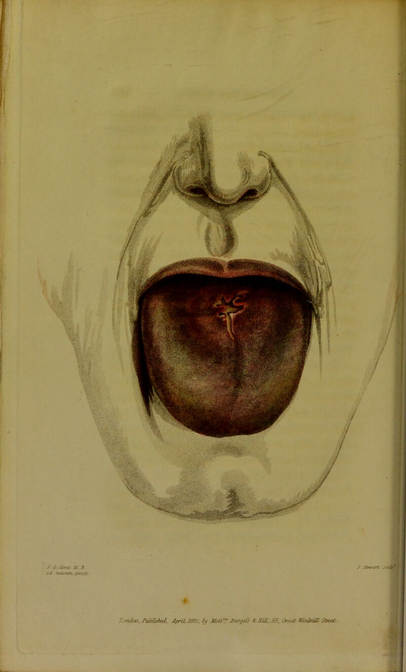 *3 I I ,> r ; ♦ t f [ i s- 6 f Jl G.Cktrtt. U.3. tuC rutttuwn. ptnxitr L J Stnrart A ■♦. T'rrtdtwi. ApriL ICffO. iy Mr/s’^ Mur^a/x it ffUL. S5, Oreai; Windmill- Stnsat. i
