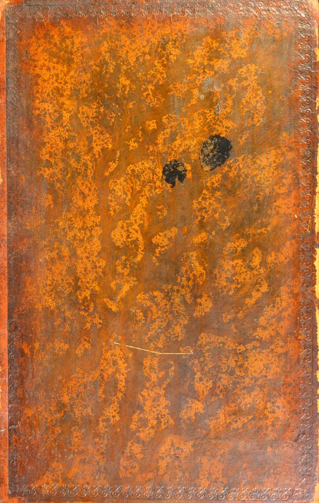 digitised image 1