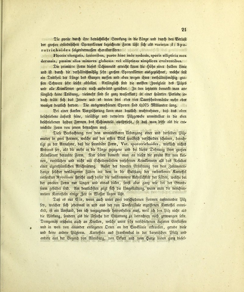 Die jweite burch ißre beträchtliche ©tredung in bie Sänge unb bnrch ben (Berluft ber großen ct?Iinbrifd>en ©porenfbrner begeic^uete gorm läßt ftch als varietas ß: Spo- rotrichoides folgenbermaffen cf>araftertftren: Floccis elongatis, laxioribus, parce hinc inde nodosis, sporis ellipticis mox decussis, passim alias minores globosas yel ellipticas simplices evolventibus. Die primitive gorm biefeS ©chimmelS erreicht faum bie <£whe einer fjalben Sinie unb ift burch bie serhältnißmäßig [ehr großen ©porenfcmet ausgezeichnet, welche faft ein Drittheil ber Sänge beS ©an^eit meffen unb eben wegen ihrer serhältnißmäßig gto? ßen ©chwere (ehr leicht abfalten. Slnfängltcf) fab bie meiften 3wetgleiu beS ihtljeS unb alte Keimforner gerabe nach aufwärts gerichtet. 3n ben le^teren bemerft man an? fänglich feine Drübuttg, vielmehr ftnb fte ganz wafferflar; in einer fpäteren ^ieriobe je? hoch trübt ftch baS innere unb eS treten bret ober Ster £Uierfchetbewänbe mehr ober weniger beutlich hettwr. Die auSgewacßfenen ©poren ftnb 0,075 Millimeter lang. 33ei einer ftarfen 33ergroßerung fann man beutlich wahrnehmen, baß baS oben befchriebene äußerft feine, sieläftige unb serwirrtc ^iljgewebe unmittelbar in bie eben befdmebenen beisen formen beS ©d)immelS auSfprießt, fo baß man biefe als bie ent? wicfelte gönn son jenem betrachten muß. Diefe ^Beobachtung son bem unmittelbaren llebergang einer unb berfelbett fjlflz? mutter in zwei gornten, weldje auf ben erften 35lid fpeciftfd) serfchieben fcheineit, berechn ttgt zu ber Sinnahme, baß bie fecuttbäre gorm, Var. sporotrichoides, wirflid) nichts SlnbereS fei;, als bie mehr in bie Sänge gezogene unb bei biefer Dehnung ihrer großen Ketntförner beraubte gorm. 9lttr feiten bemerft man an biefer bie zweite Slrt son flei? nett, runblid;en unb nicht mit ©cheibewänben serfe|enen Keimfornern als baS Öiefultat einer eigenthümlichen Slbfchnürung. Slußer ber birecfeit Erfahrung sott bem ßufammen? hange folcfeer verlängerter gäben mit bem in bie ©ubftanj ber beworbenen Kartoffel verfenften Mvcelium fpricßt audjbafür bie soUfommene Sleßnltchfeit ber gaben, welche bet ber zweiten gorm nur länger unb etwas biefer, fottff aber ganz wie bet ber ©runb? form gebilbet ftnb. Slm beutlichften zeigt ftch bte Umgeftaltung, wenn matt bie serf^im? weiten Kartoffeln einige 3eit in UBaffer liegen läßt. Daß eS nur ©in, wenn auch unter givet betriebenen gornten auftretenber lf3il§ fei;, weld;er ftch jebeSmal in unb auS ber son Drocfenfäule ergriffenen Kartoffel entwi* cfelt, ift ein Umftanb,. ben td; sorzugSweife bettw*heben muß7 weif ich ben jftilj nicht als bie Söirfung, fonbern als bie Urfache ber (Entartung ju. betrachten mich gezwungen (ehe. Demgemäß erfäßeint auch an Knollen, welche unter feßr betriebenen äußeren (Sinflüffen unb in weit sott etnanber entlegenen Drten an ber ©todfäitle erfrattfen, gerabe biefe unb feine anbere l)3i4form. Kartoffeln auS granfentßal in ber baperifeßen fßfalj unb attbere auS ber ©egenb bon Slltenburg, son (Erfurt unb som $arze bieten ganz biefe!'