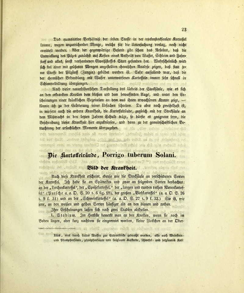 Da3 quantitative 23er{?ättnip ber feften Stoffe in Der trocfenftocffaulen Kartoffel tonnte, wegen un$ureidjenber Stenge, welche für bie Unterfuchung vorlag, nod> nic^t ermittelt werben. 5lber ber gegenwärtige Vefuitb gibt fdjon baS 9fefultat, bap bie (Sntwtdlung beö Vil^eS junädjft auf Soften eines SlntljetlS von äöaffer, Schleim unb Safer* ftoff unb alleö, fonji vorfjanbenen (SiweipftoffeS Statt gefunbett l)at. 2Bat)rfd)einlicf) wirb ft<h bei einer mit gropeten Mengen angeftellten c^emifcl;en 2lnalpfe jeigeit, bap ftatt je* ner Stoffe bet Viljftoff (gungin) gebilbet worben ift. Sehr auffaßenb war, bap bie ber d)emifd)en Vehattblung mit SÖaffer unterworfenen Kartoffeln immer fel)r fd)nell in Sd;tmmelbilbung übergiengen. 9tad) btefer naturhiftorifd;en DarfteUung beS UebelS ber Stocffäule, wie eS fiel) an ben erfranften Knollen bem blopen unb bem bewaffneten 2luge, unb unter ben (Sr* fdjeinungen einer fränfliefen Vegetation au bem aus ihnen erwachfenert Kraute geigt, — tonnte tcf> ju ber (Erörterung feiner Urfadjen fc^reiten. Da aber noch gvr>eifetl)aft ift, in wiefern aucf) bie anbere Kranfheit, bie Kartoffelräube, 311gleid; mit ber Stocffäule an bem 9Jitpwad)S in ben lebten Sauren Scfmlb trägt, fo bürfte eS geeigneter fepn, bie Verreibung btefer Kranfheit l)ier an^ufnüpfeit, unb bann ju ber gemeinfd)aftlicken Ve* trad)tung ber urfachlidjen Momente übegugefyen. : . • . . . ' ;■■■ i mi • :.'J7 vtys tr, vuv^ r’-fbid *■; (bi) j(,b; ;o . • ■ ' Pie JiartöffHrauto, Porrigo tuberum Solani. ■ : .rf[T) v [2 .;nn r,,f - ; <i\:\ yv'-v?(■.v:j ivtu; r.f,yj$a $5ilt> t>et Mtanfyeit. ' ■ 21 ud) biefe Kranfheit erfd)eint, ebenfo wie bie Stocffäule an verfchiebenett Sorten ber Kartoffel. 3d; habe fte an Spätreifen unb ^war an folgenben Sorten beobachtet: an ber „£erd)enfattoffel, ber „Speifefartoffel, ber „langen unb runben rotten Vierenfartof* fei (Vutfd)e a. a. £>• <3. 20 t. 6 %. 18), ber gropeit „Viehfartoffel (a. a. £5. S. 26 t. 9 f. 31) unb an ber „Schweinfartoffel (a. a. £>. S. 27 t. 9 f. 32.) Sie ift, wie jene, an ben weipen unb gelben Sorten häufiger älö an ben bfauen unb rotfyen. 3f)re (Srfchctnungen laffen ftd) nach i^oei Stabten abtheilen. I. Stab tum. gm äperbfte bemerft man an ben Knollen, wenn fte noch Vobett liegen, ober furg nachbem fte eingeerntet worben, fleine glecfd)en an ber Ober* 2CUeS, was burrfj falteö SSBafec jur (Srtractbicfe gebracht roorben, atfo auch 3Öetnffrtn = unb spbo6pb°rfäuw, ptjoSpberfaure unb fatjfaure .Ralferbe, fdnoefel: unb faljfauce* $ati /